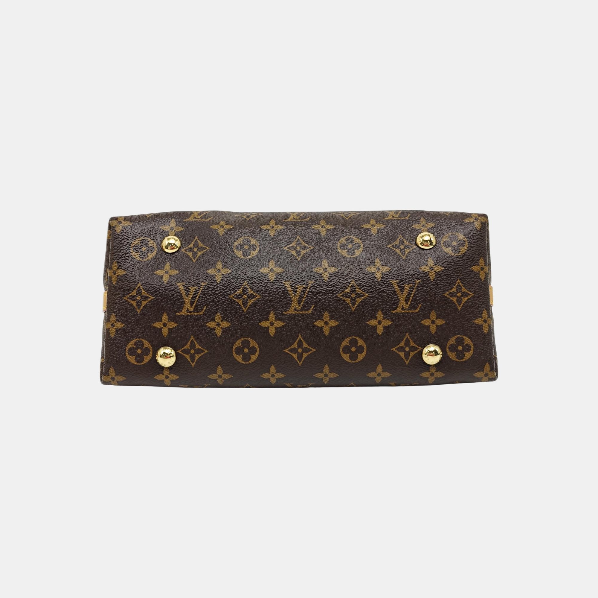 CARRYALL PM Monogram Coated Canvas Brown
