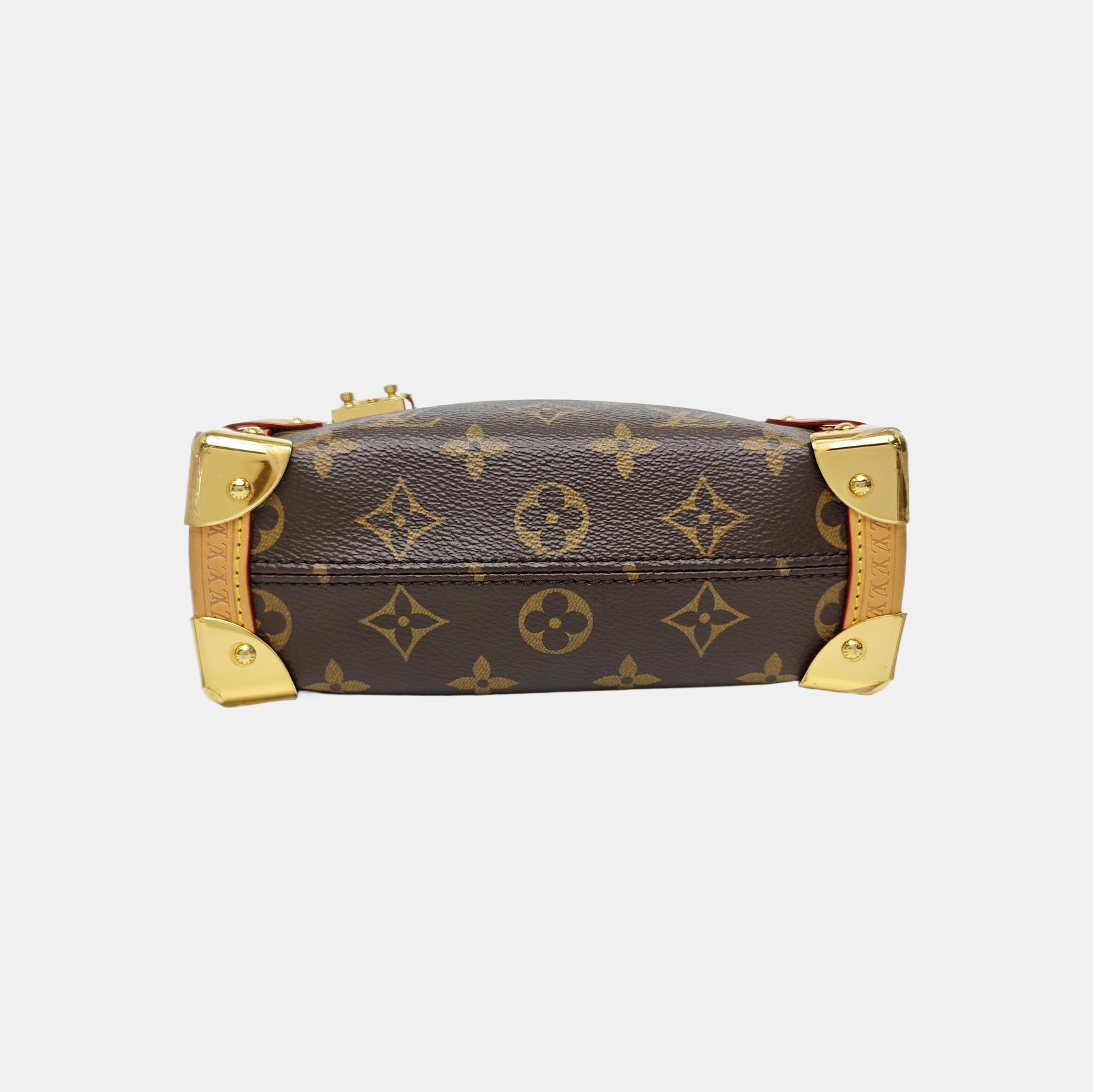 SIDE TRUNK PM Monogram Coated Canvas Brown