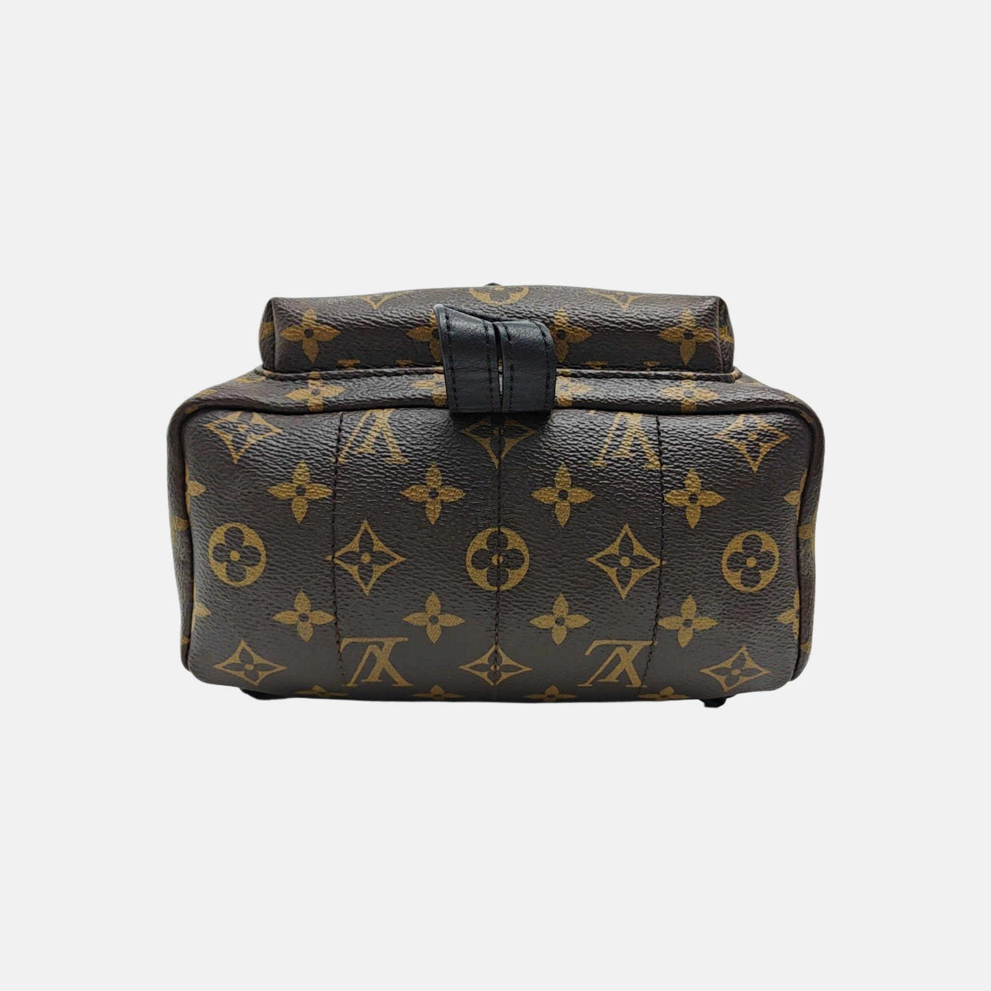 PALM SPRINGS PM Monogram Coated Canvas Brown