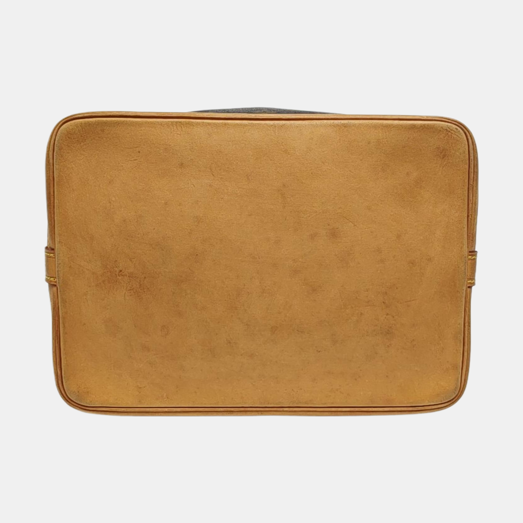 NOÉ GM Monogram Coated Canvas Brown