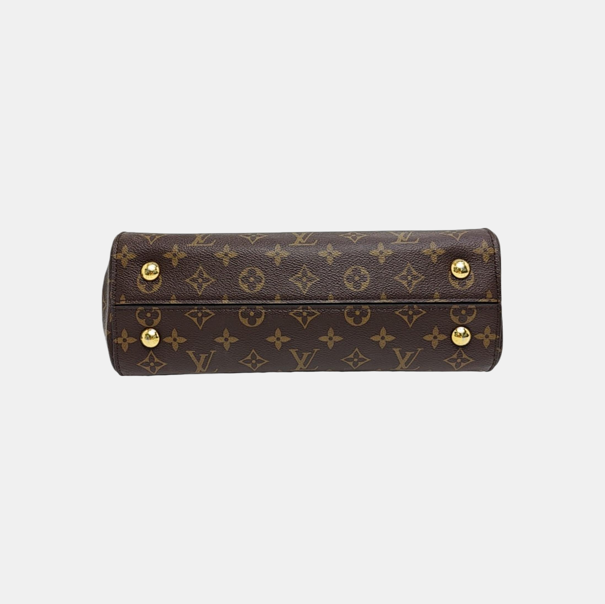 CLUNY MM Monogram Coated Canvas Brown