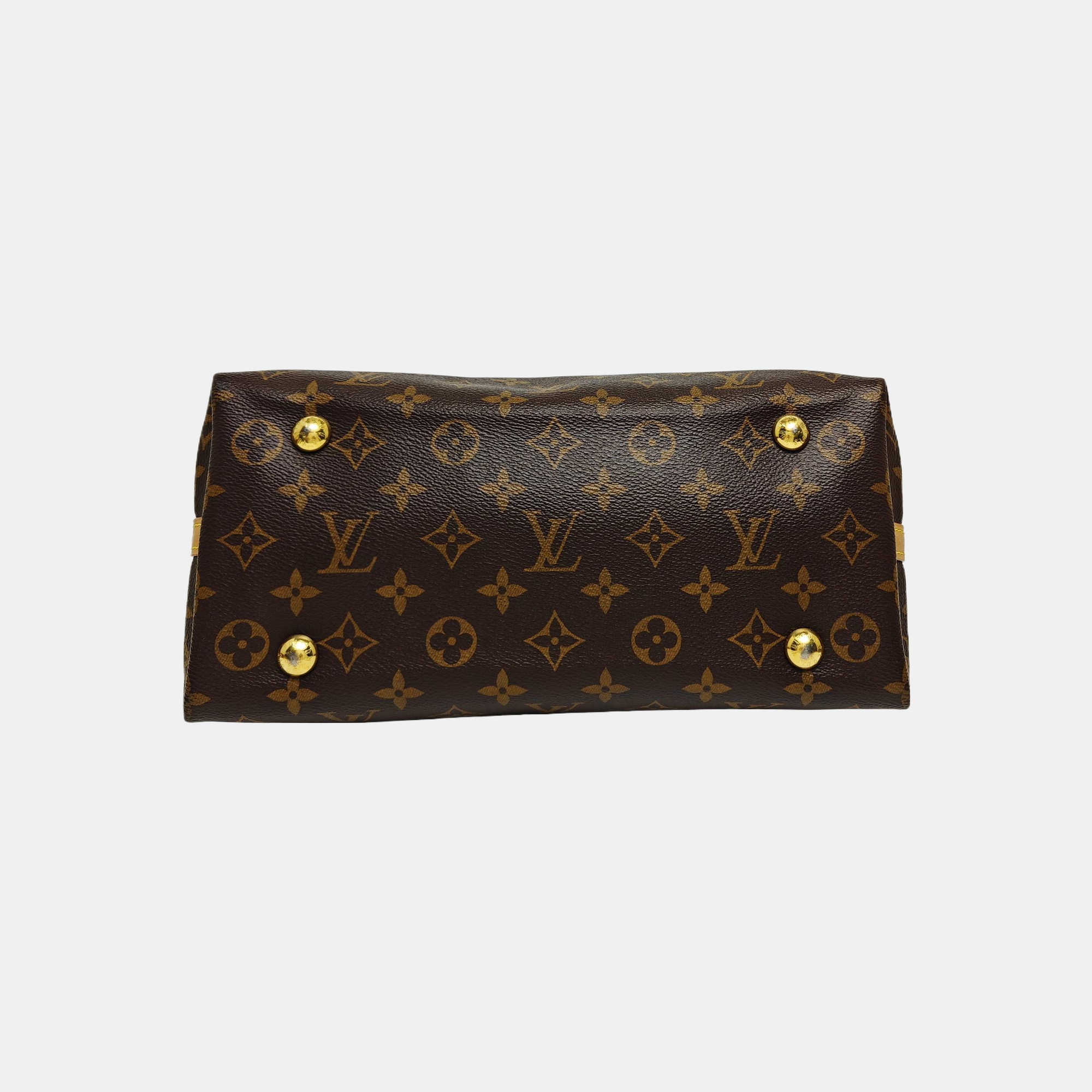 CARRYALL PM Monogram Coated Canvas Brown