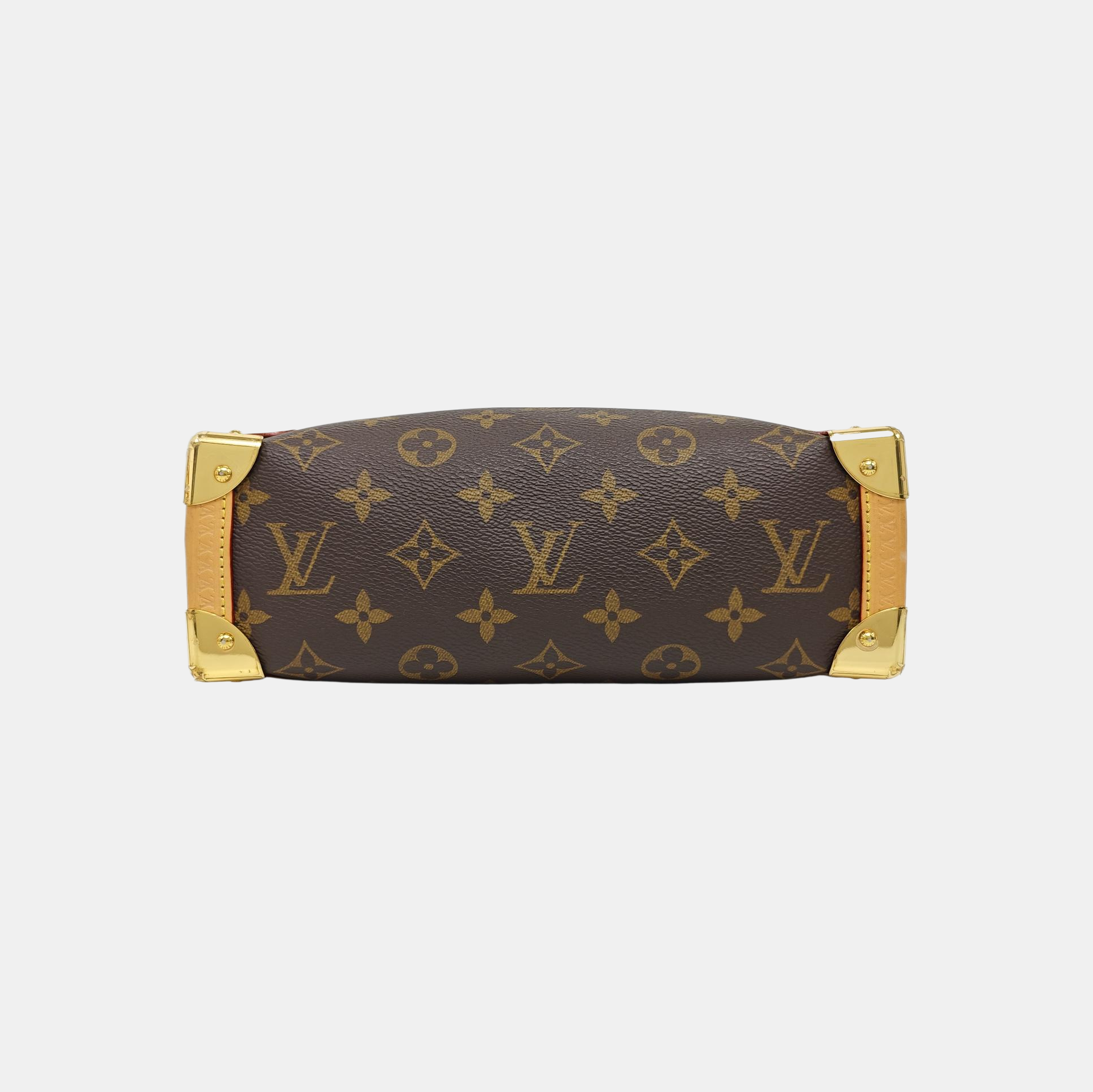 SIDE TRUNK MM Monogram Coated Canvas Brown