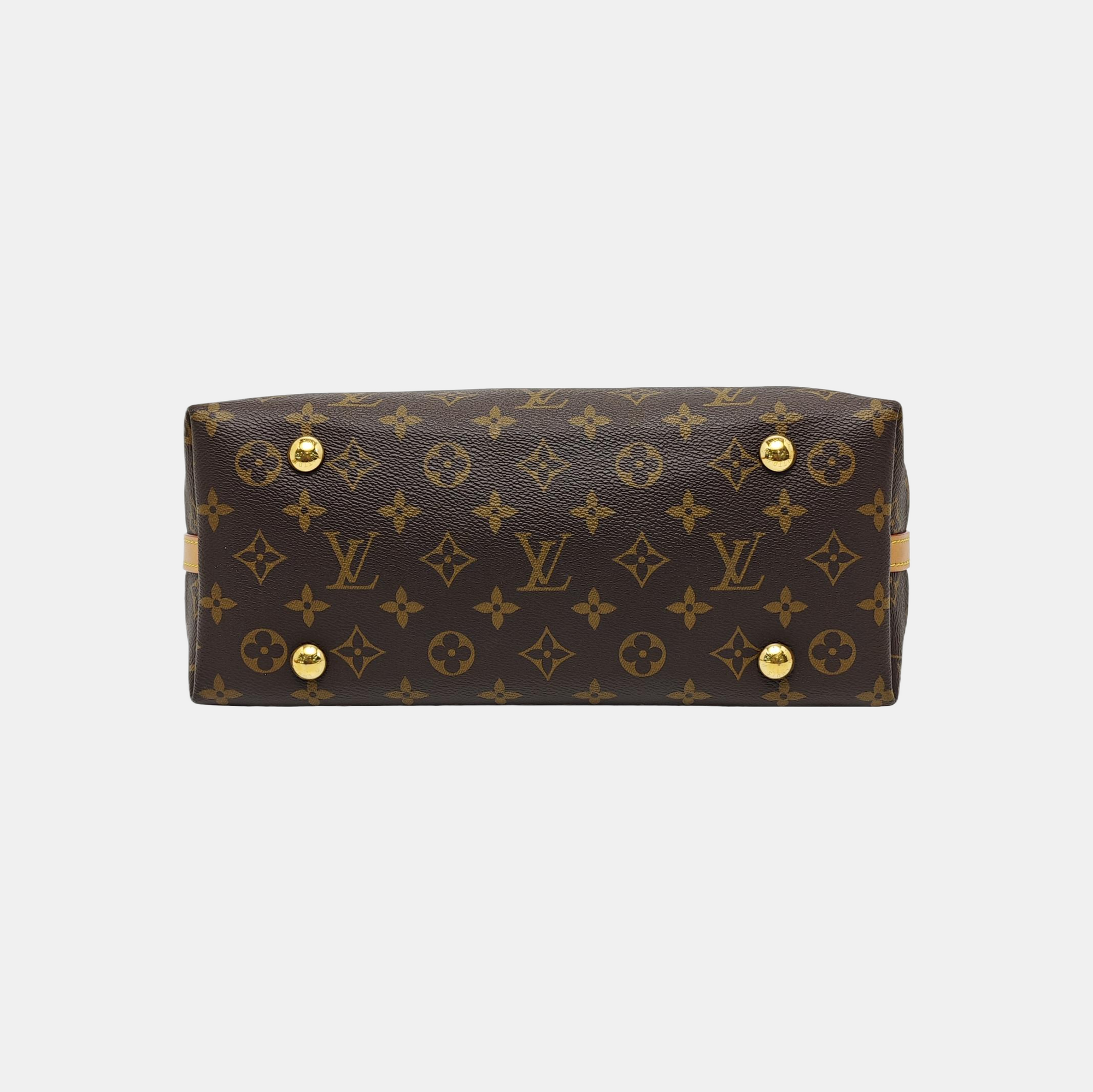 CARRYALL PM Monogram Coated Canvas Brown