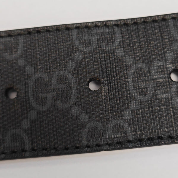 Coated Canvas Belt Black