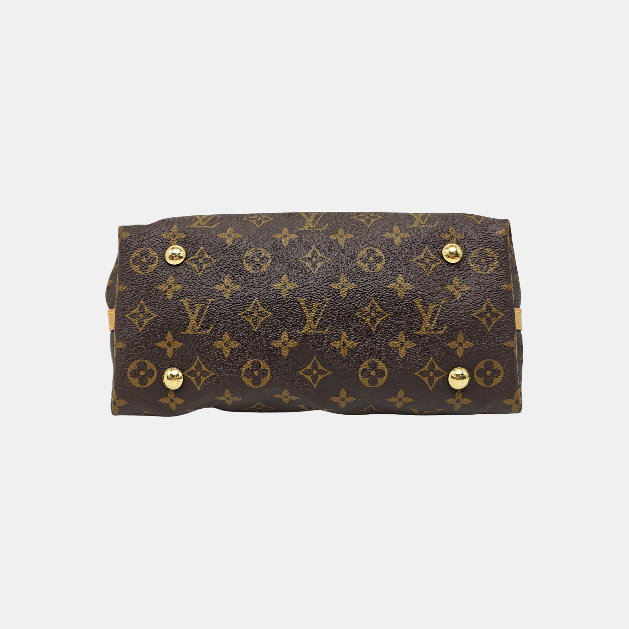 CARRYALL PM Monogram Coated Canvas Brown