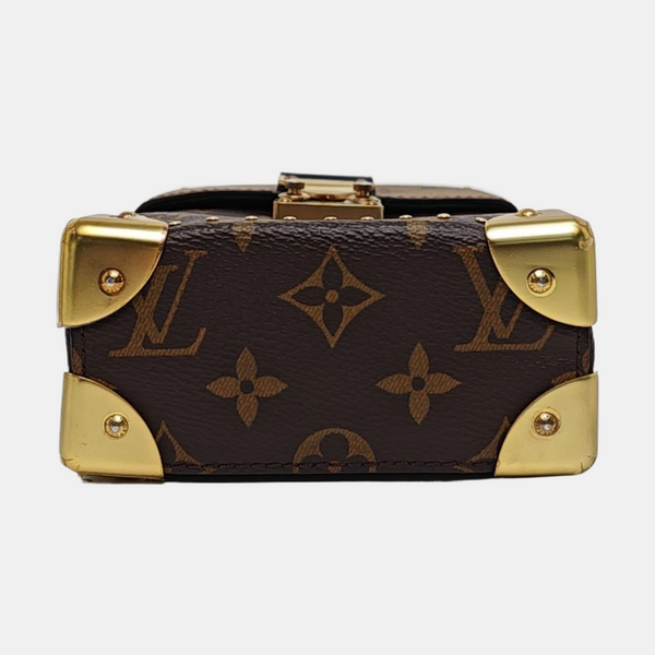 CAMERA BOX Monogram Coated Canvas Brown