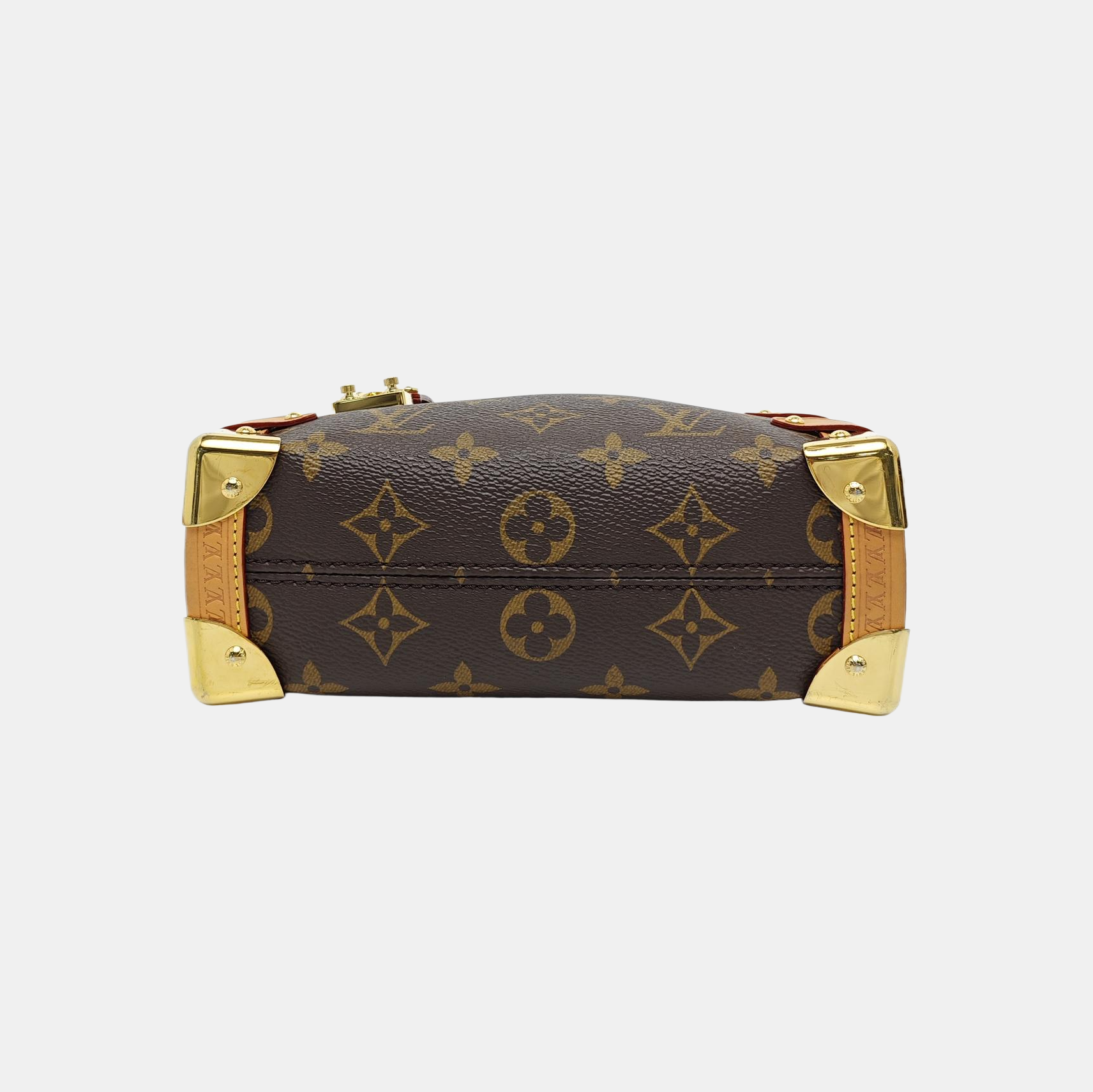 SIDE TRUNK PM Monogram Coated Canvas Brown