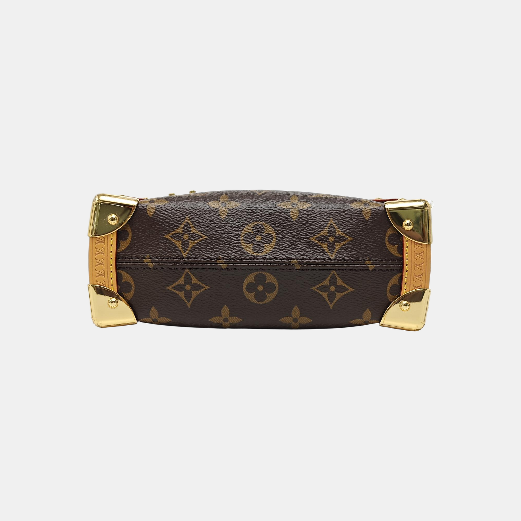 SIDE TRUNK PM Monogram Coated Canvas Brown