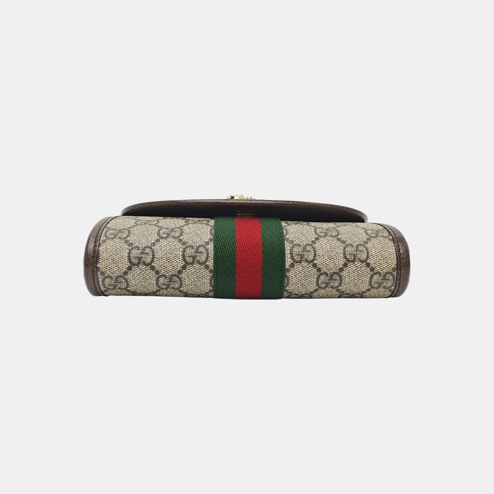 Rajah Mini Monogram Coated Canvas Beige