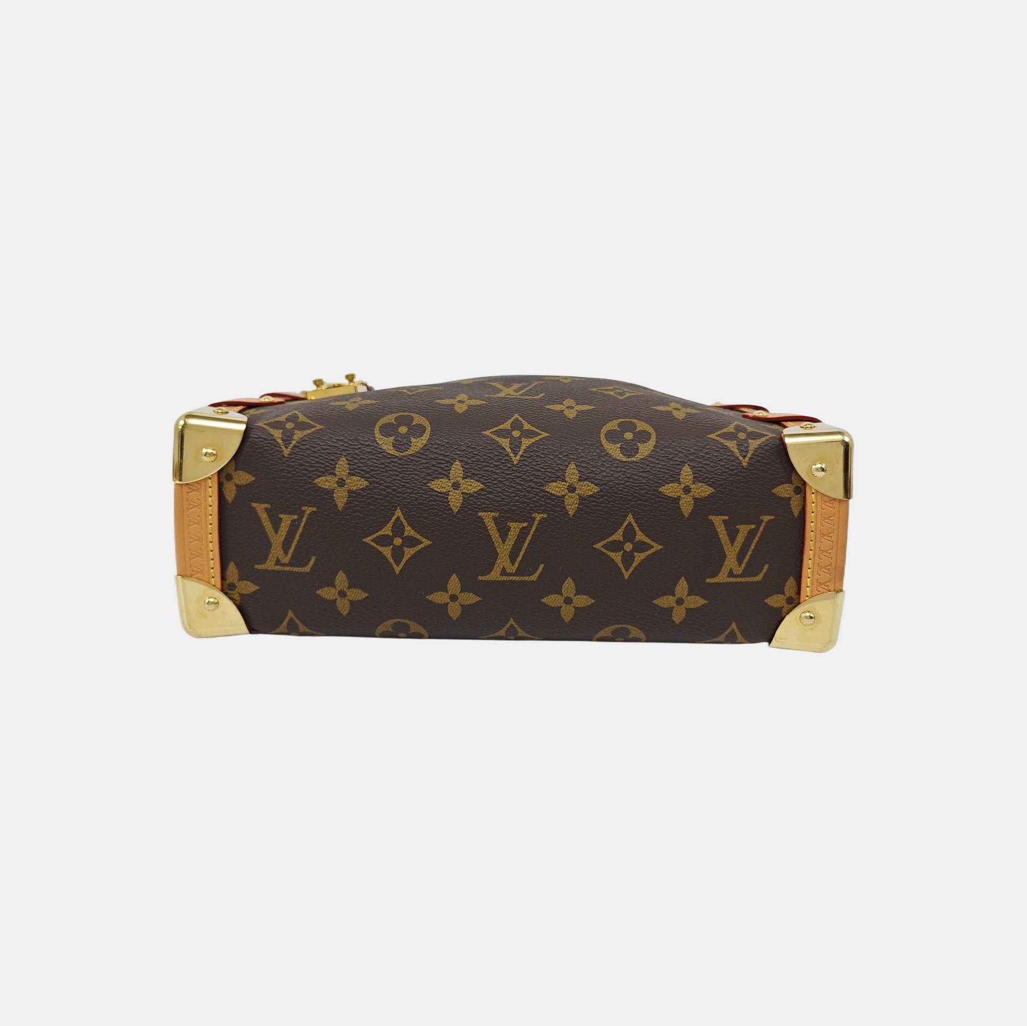 SIDE TRUNK MM Monogram Coated Canvas Brown