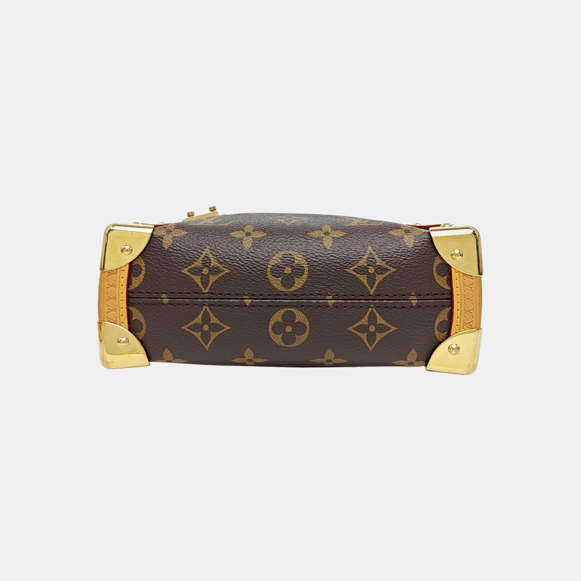SIDE TRUNK PM Monogram Coated Canvas Brown