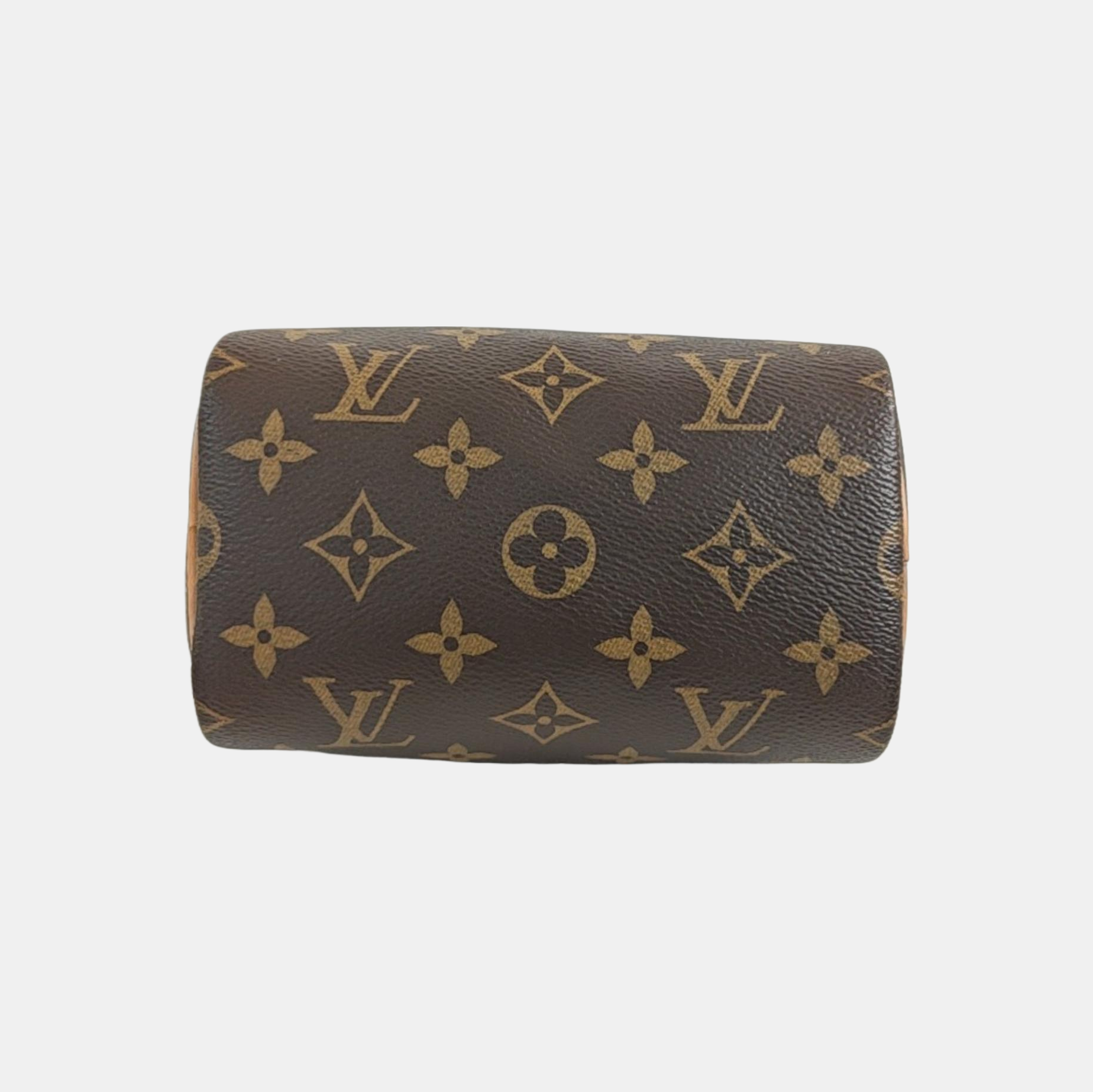 SPEEDY Nano Monogram Coated Canvas Brown