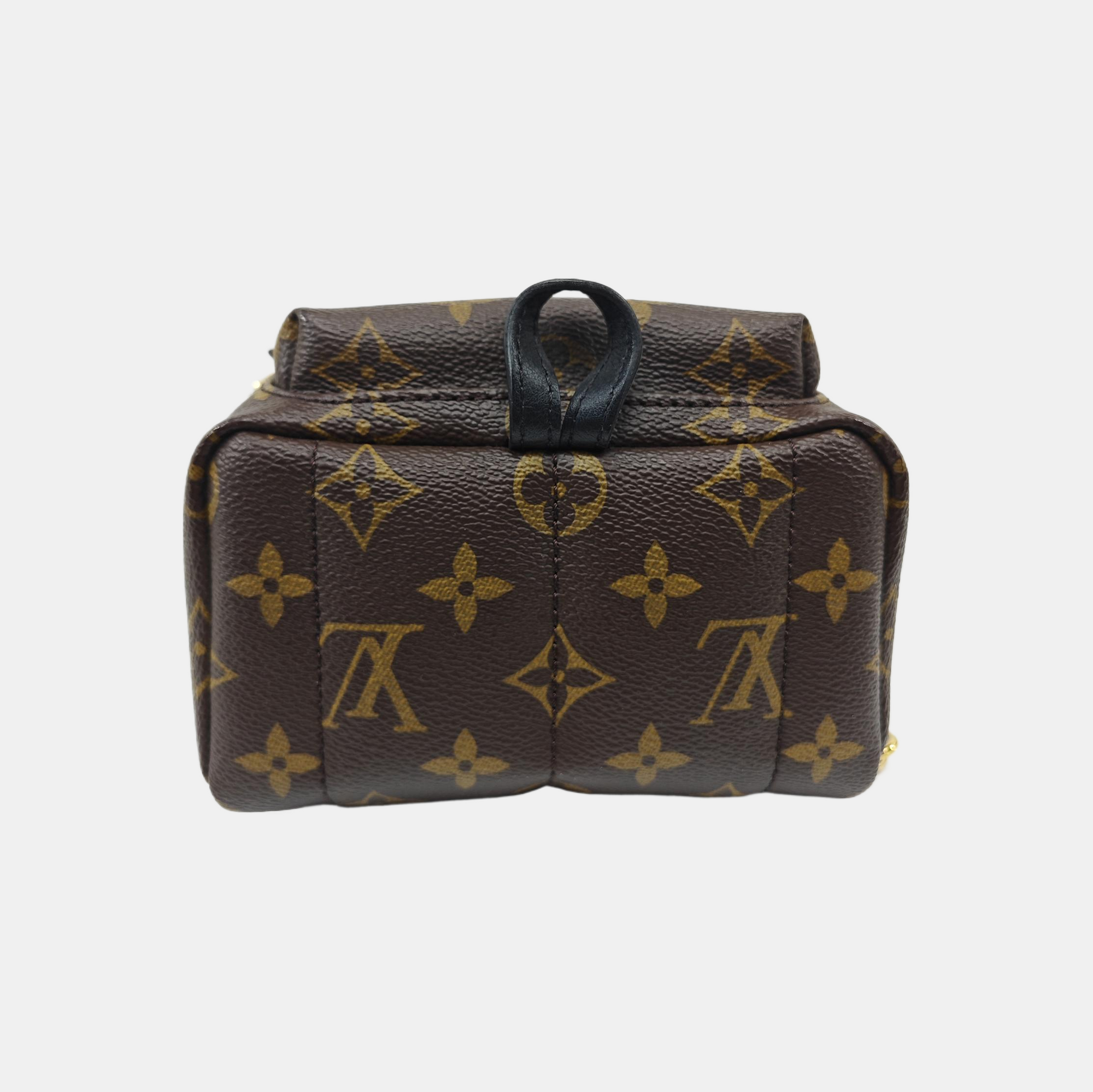 PALM SPRINGS Mini Monogram Coated Canvas Brown