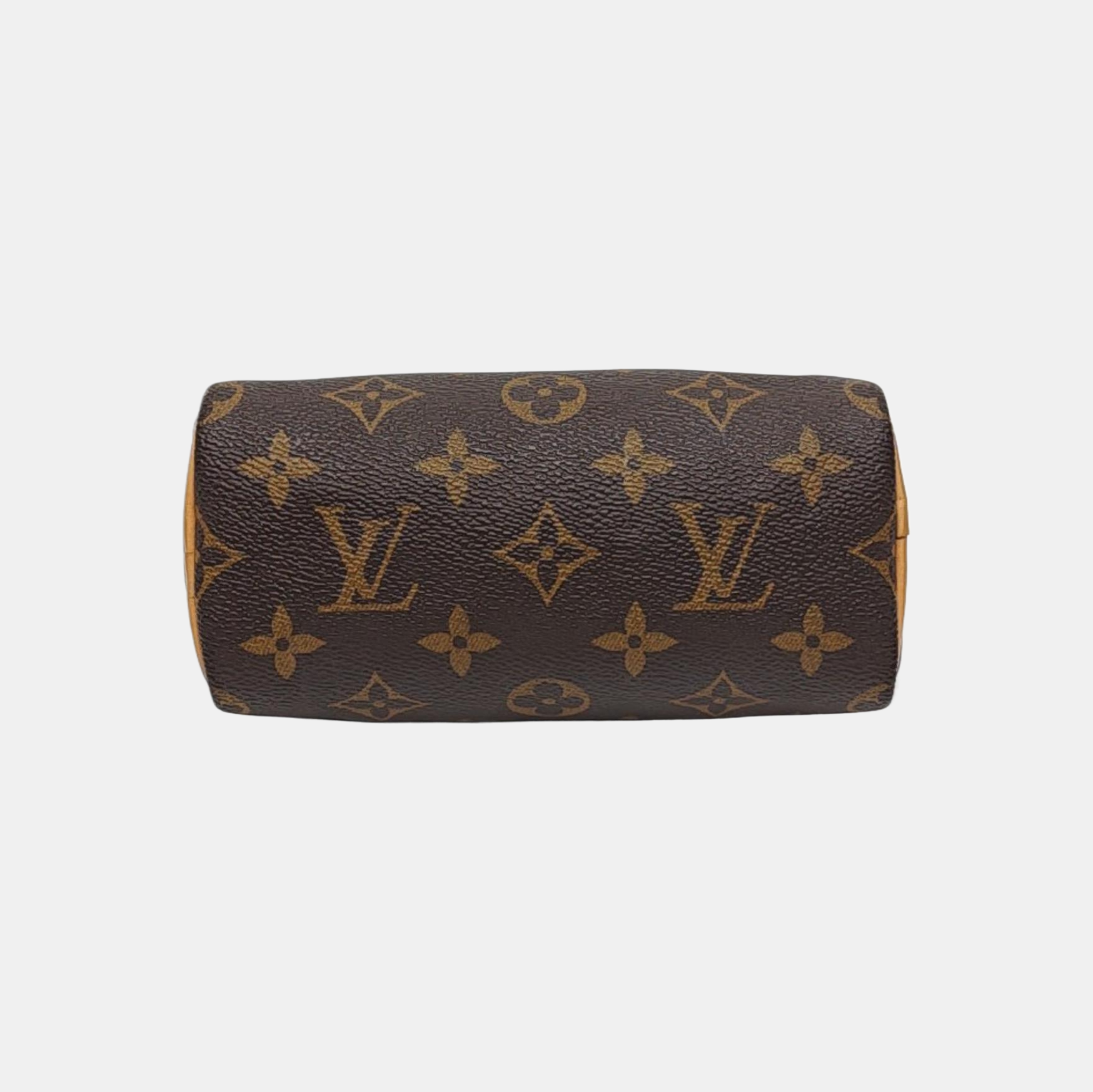 SPEEDY Nano Monogram Coated Canvas Brown
