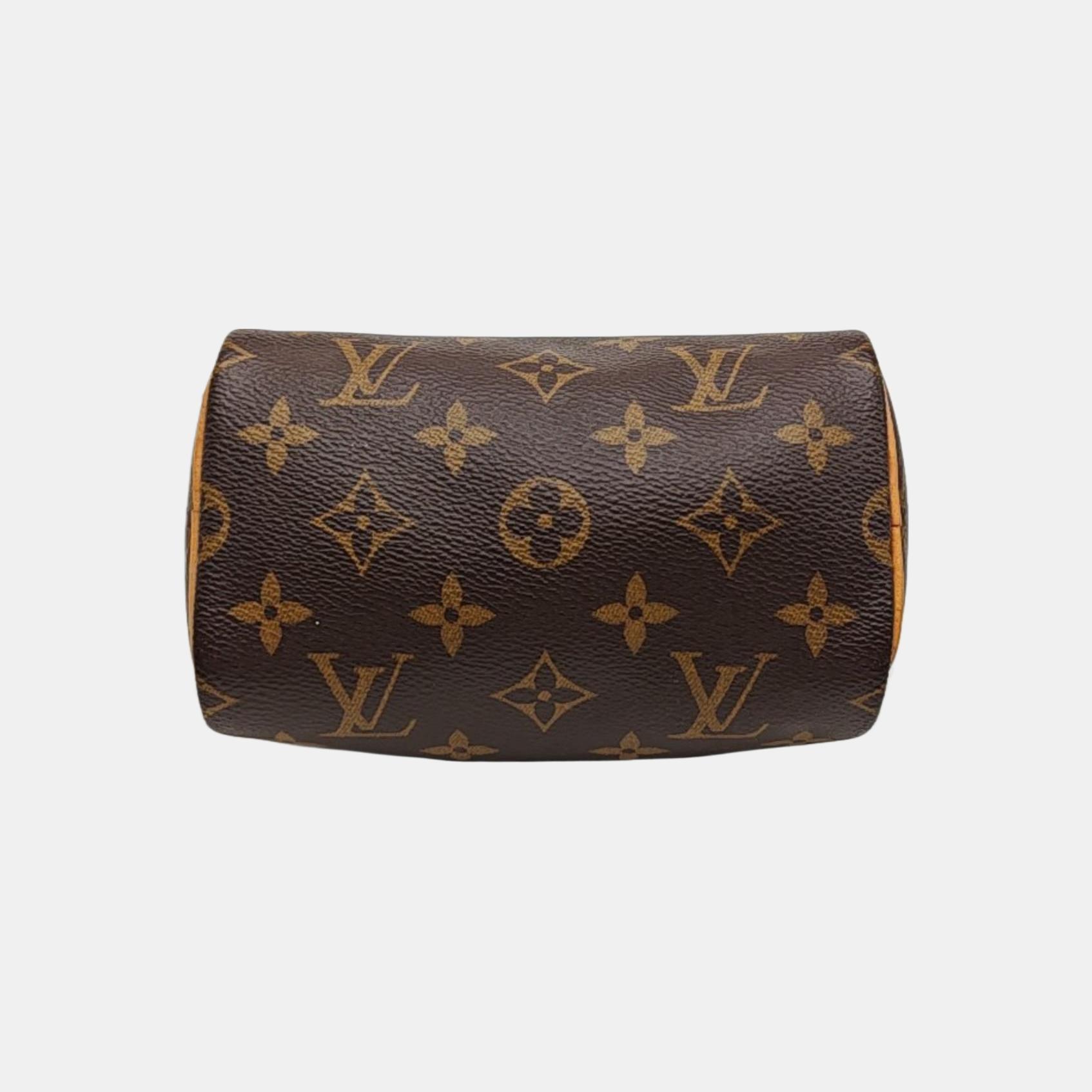 SPEEDY Nano Monogram Coated Canvas Brown