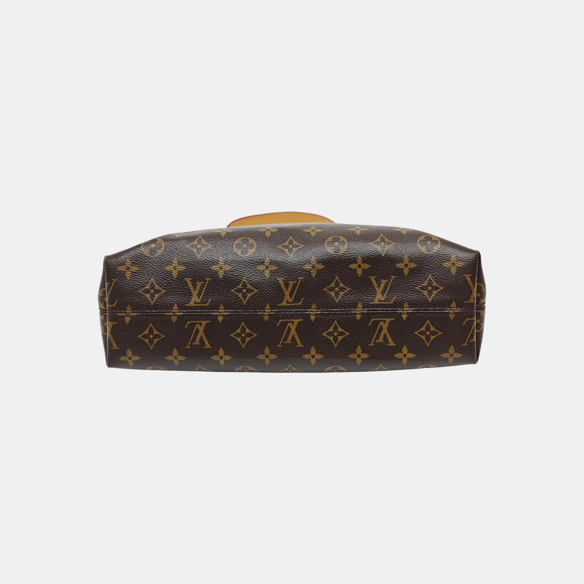 CARRYALL MM Monogram Coated Canvas Brown