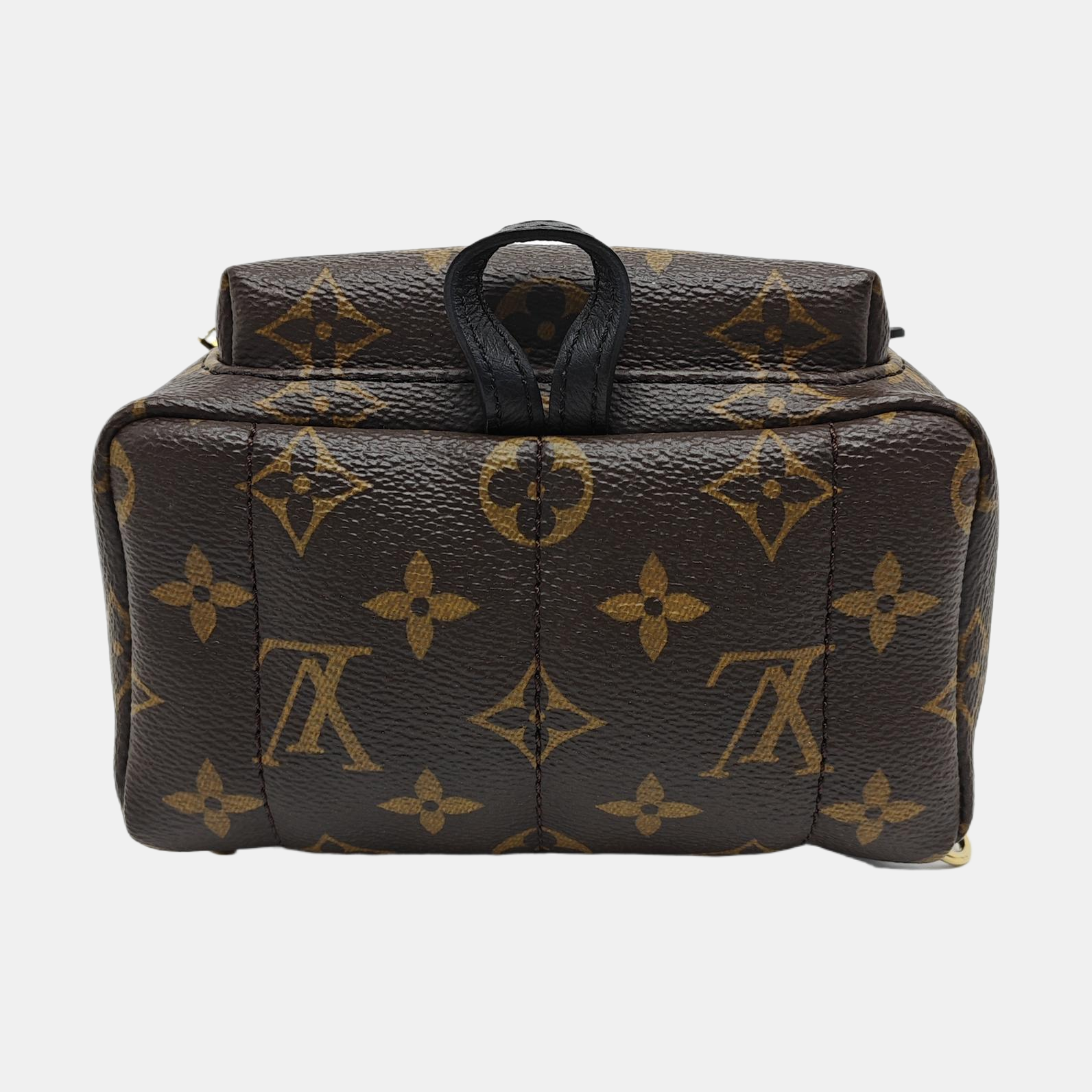 PALM SPRINGS Mini Monogram Coated Canvas Brown