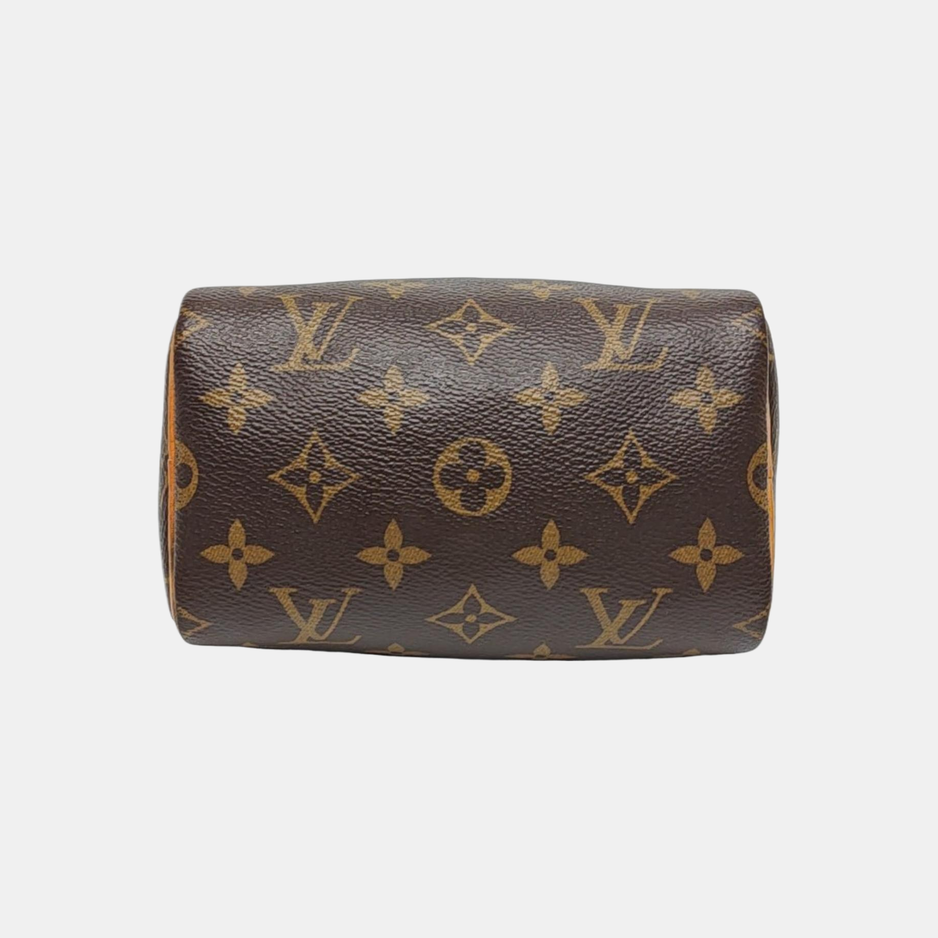SPEEDY Nano Monogram Coated Canvas Brown
