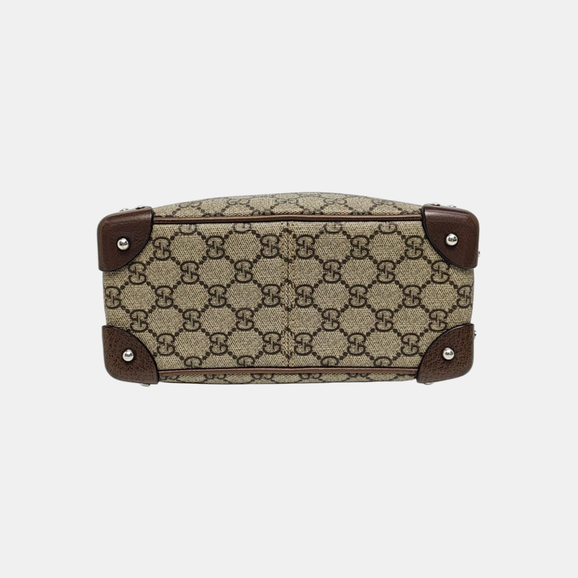 Trunk Monogram Coated Canvas Brown