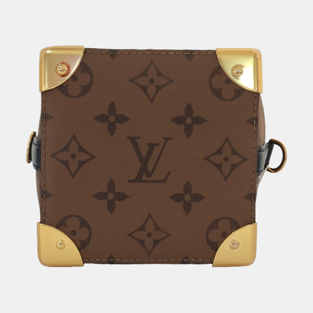 NOÉ PURSE LV CHARMS Monogram Coated Canvas Brown