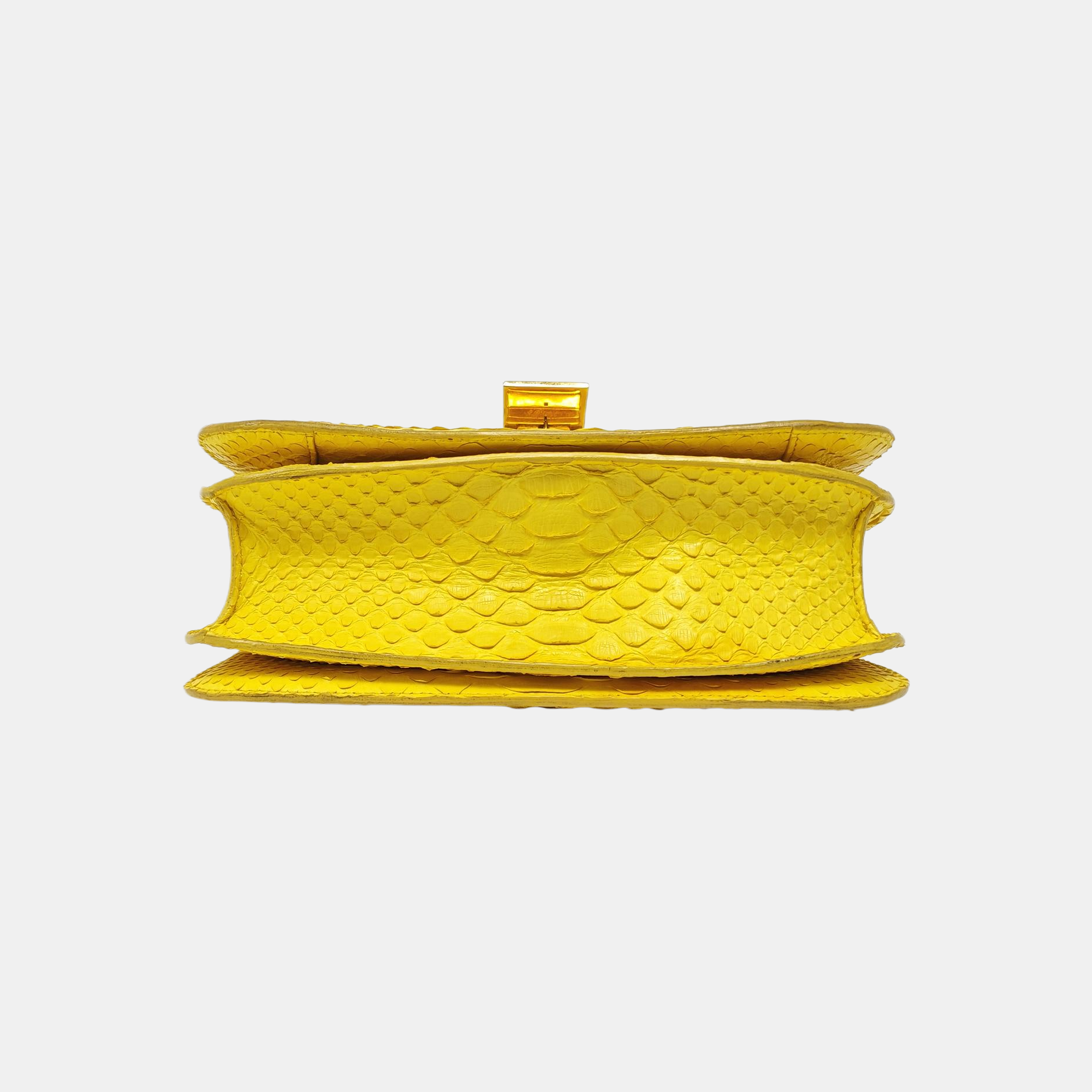CLASSIC BOX Medium Python Yellow