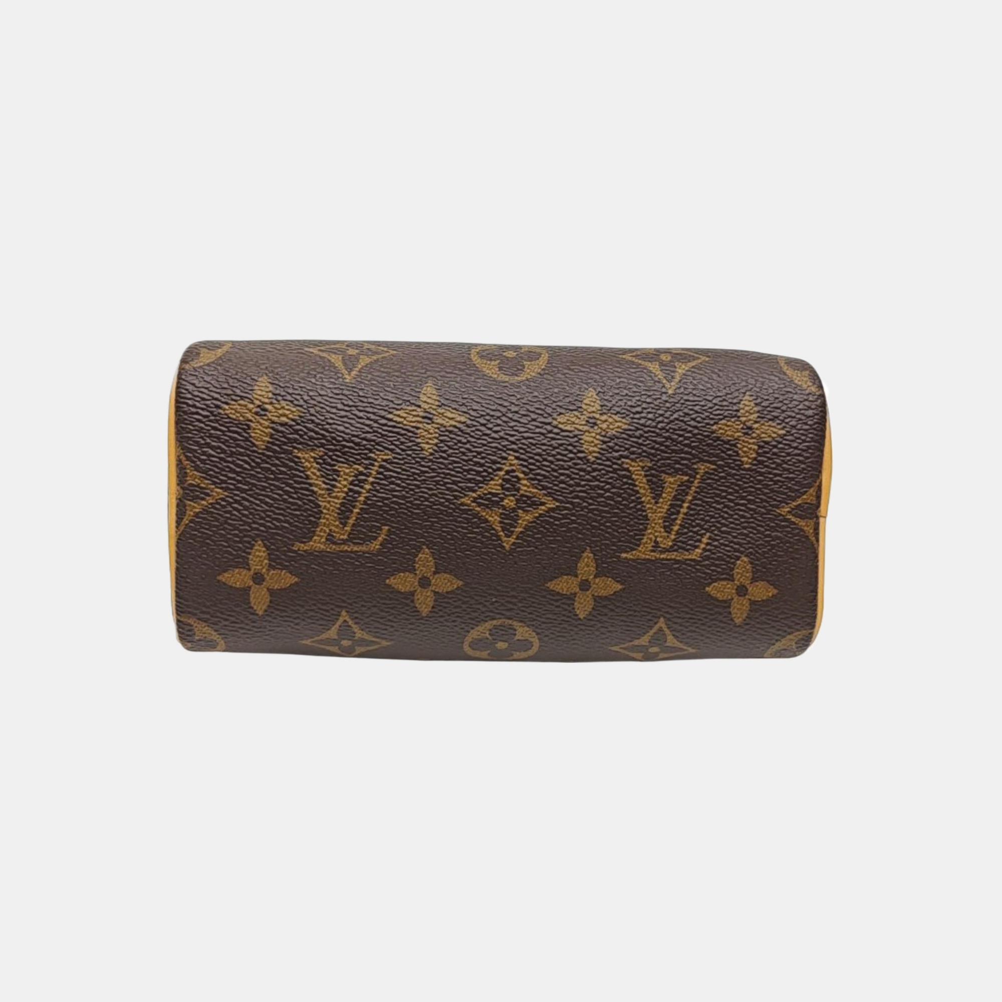 SPEEDY Nano Monogram Coated Canvas Brown