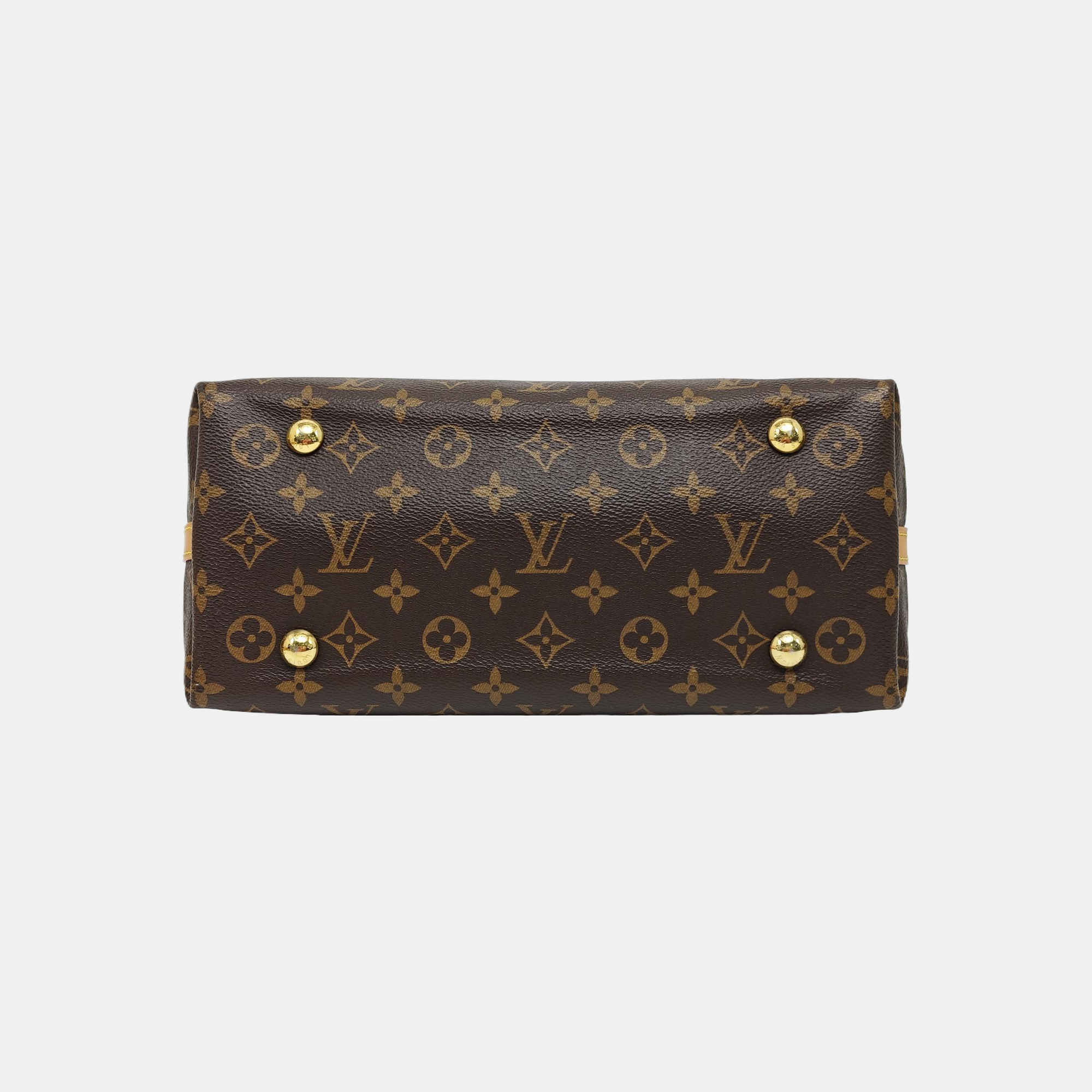 CARRYALL PM Monogram Coated Canvas Brown