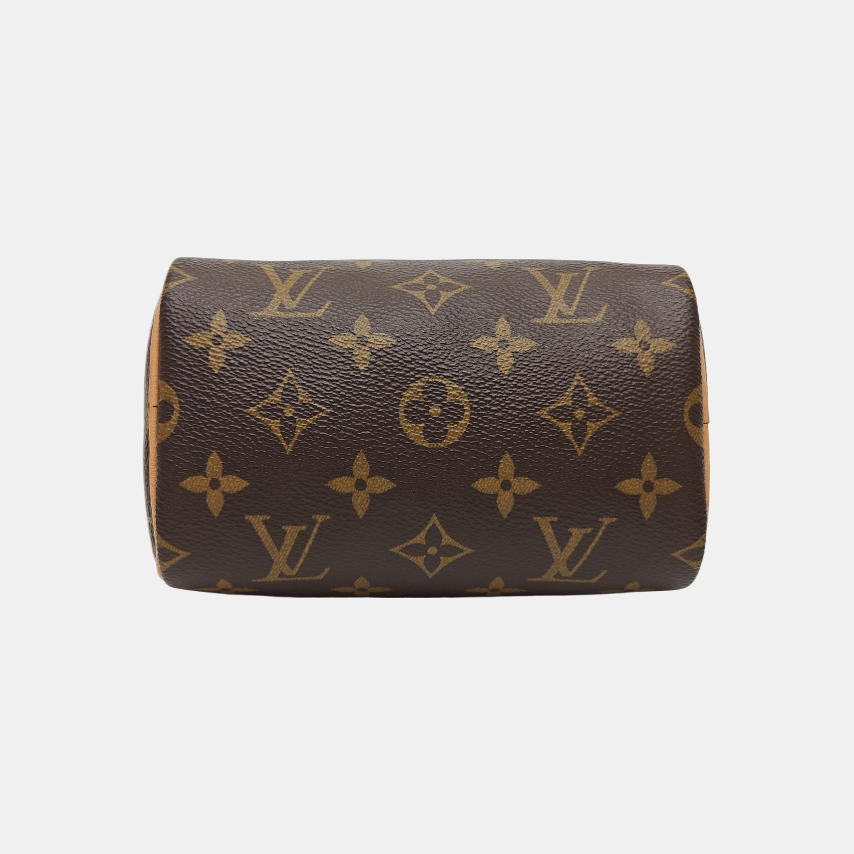 SPEEDY Nano Monogram Coated Canvas Brown