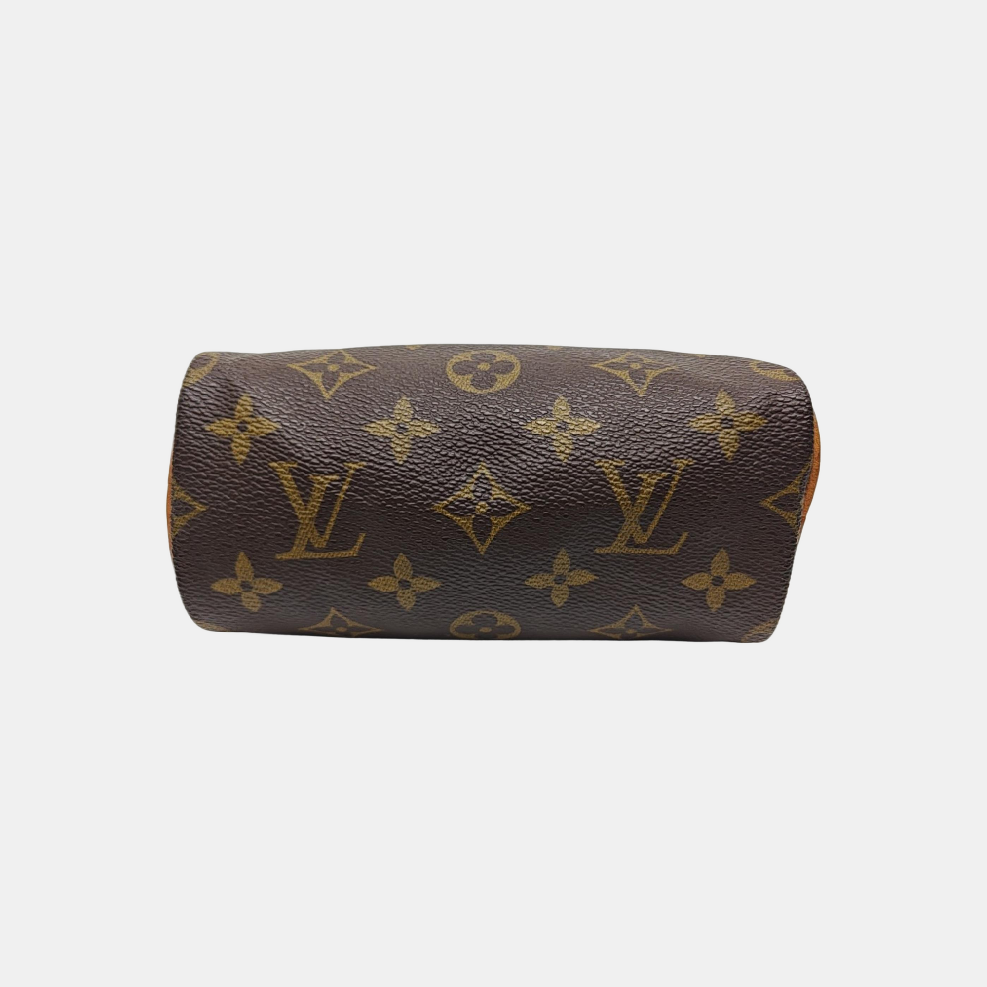 SPEEDY Nano Monogram Coated Canvas Brown
