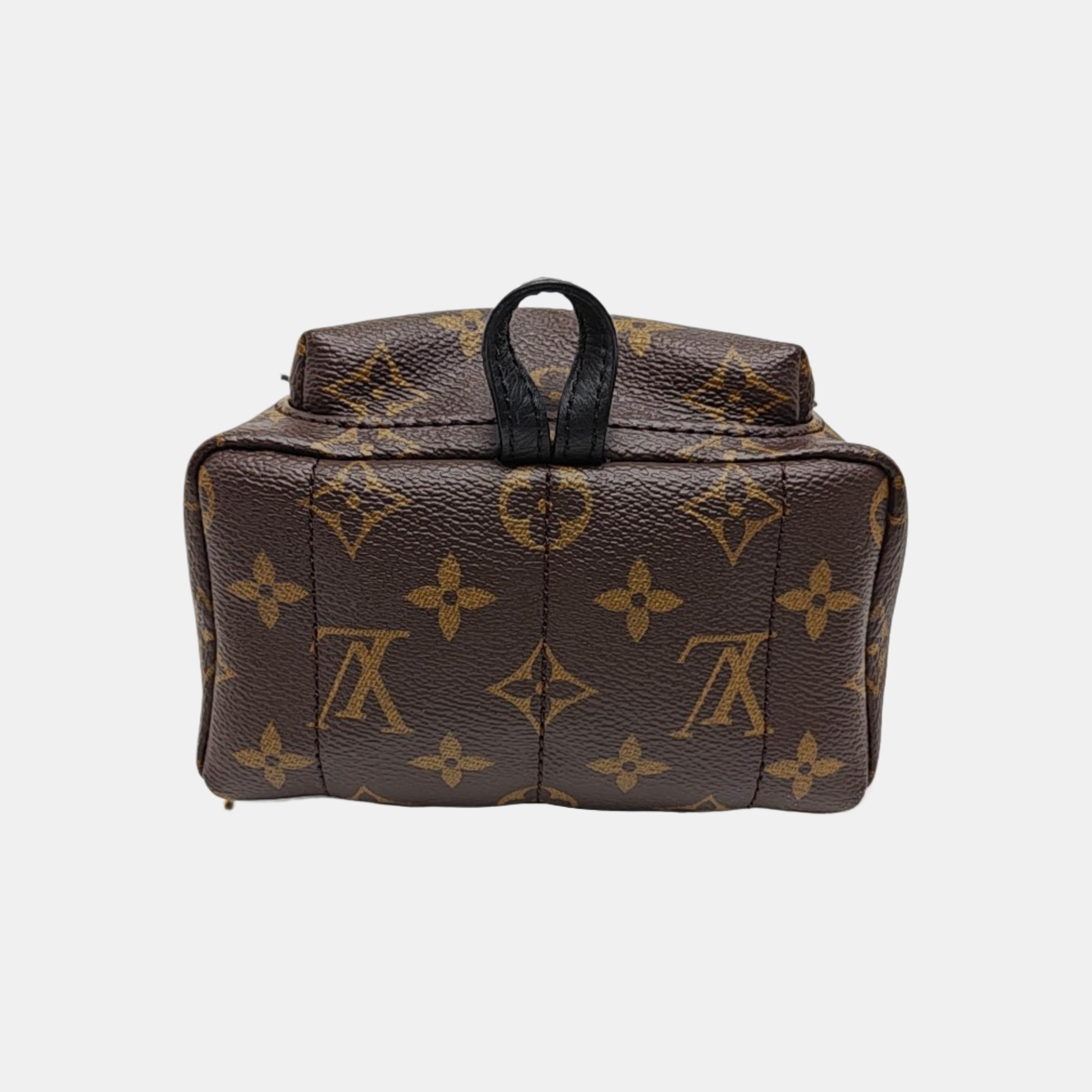 PALM SPRINGS Mini Monogram Coated Canvas Brown