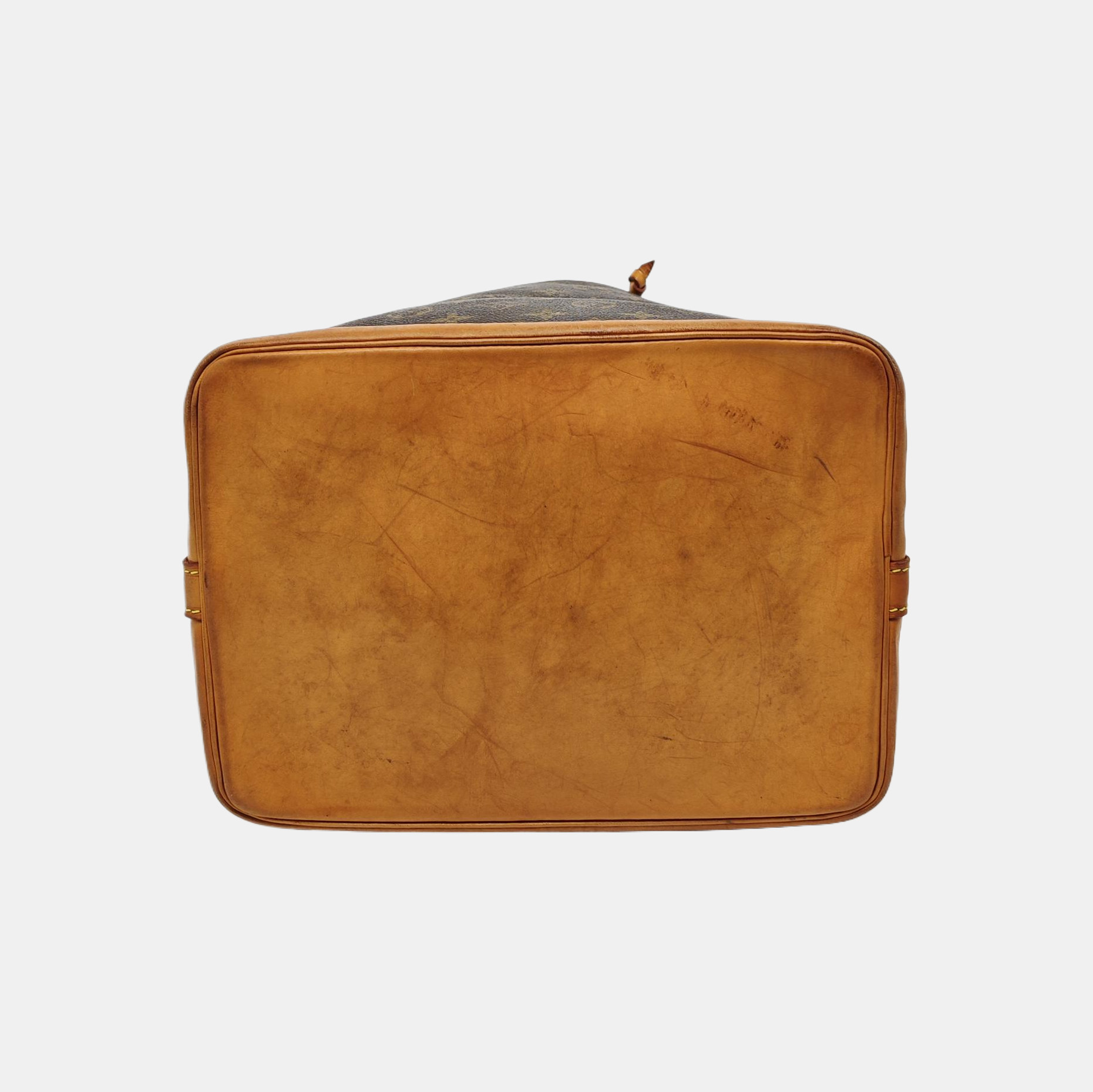 NOÉ GM Monogram Coated Canvas Brown