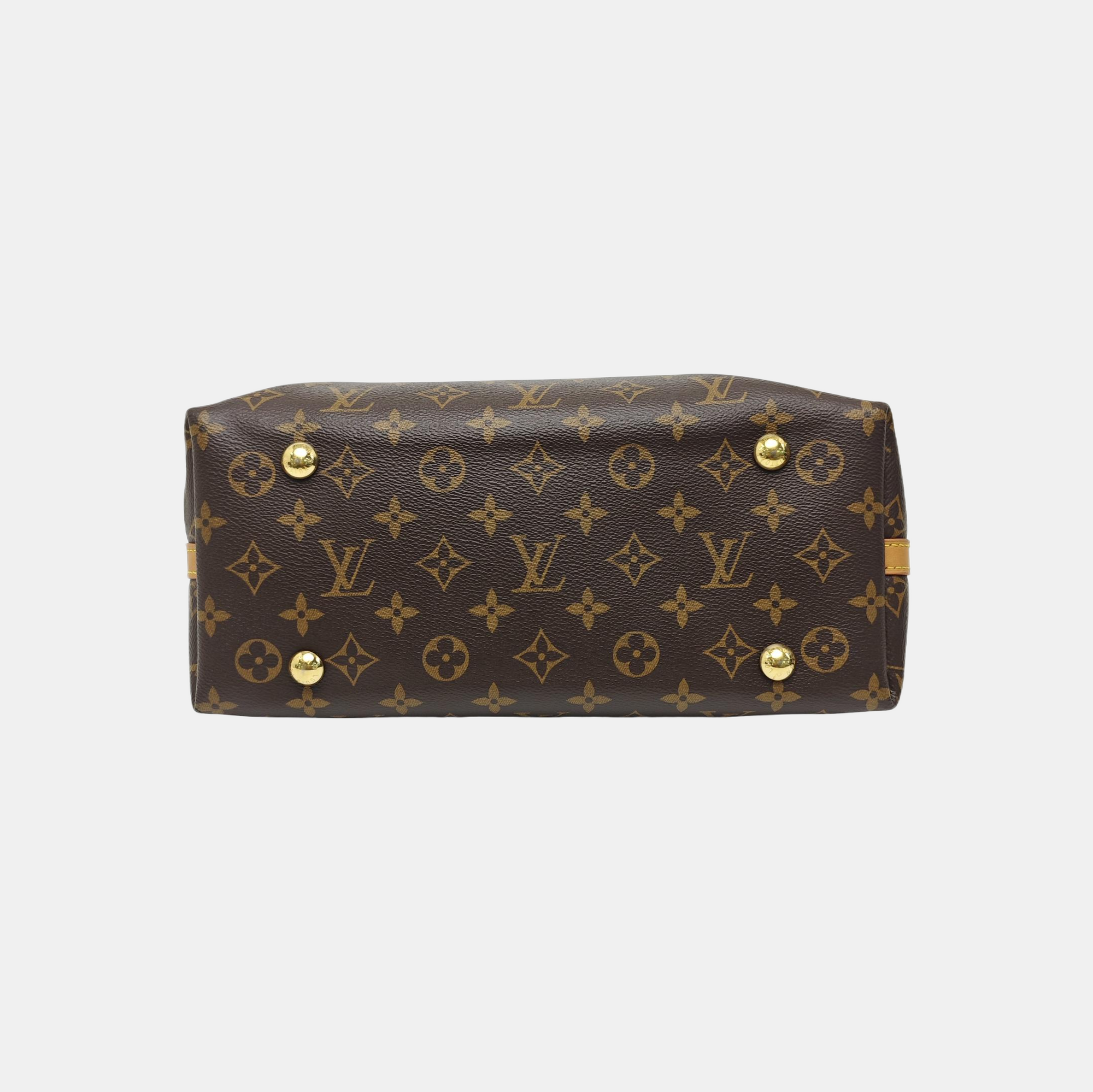 CARRYALL PM Monogram Coated Canvas Brown