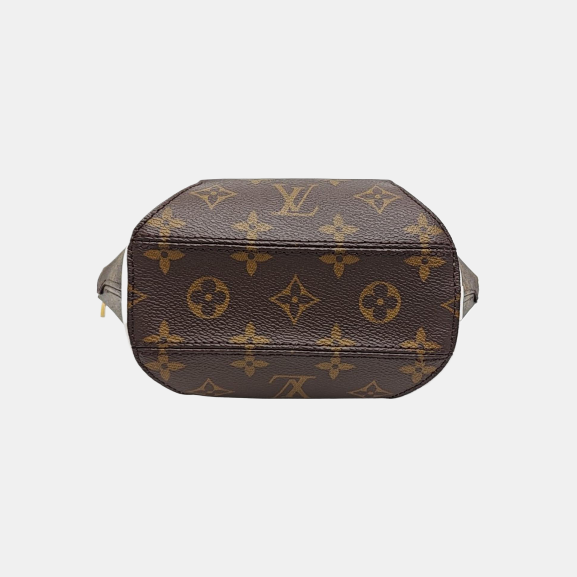ELLIPSE Monogram Coated Canvas Brown