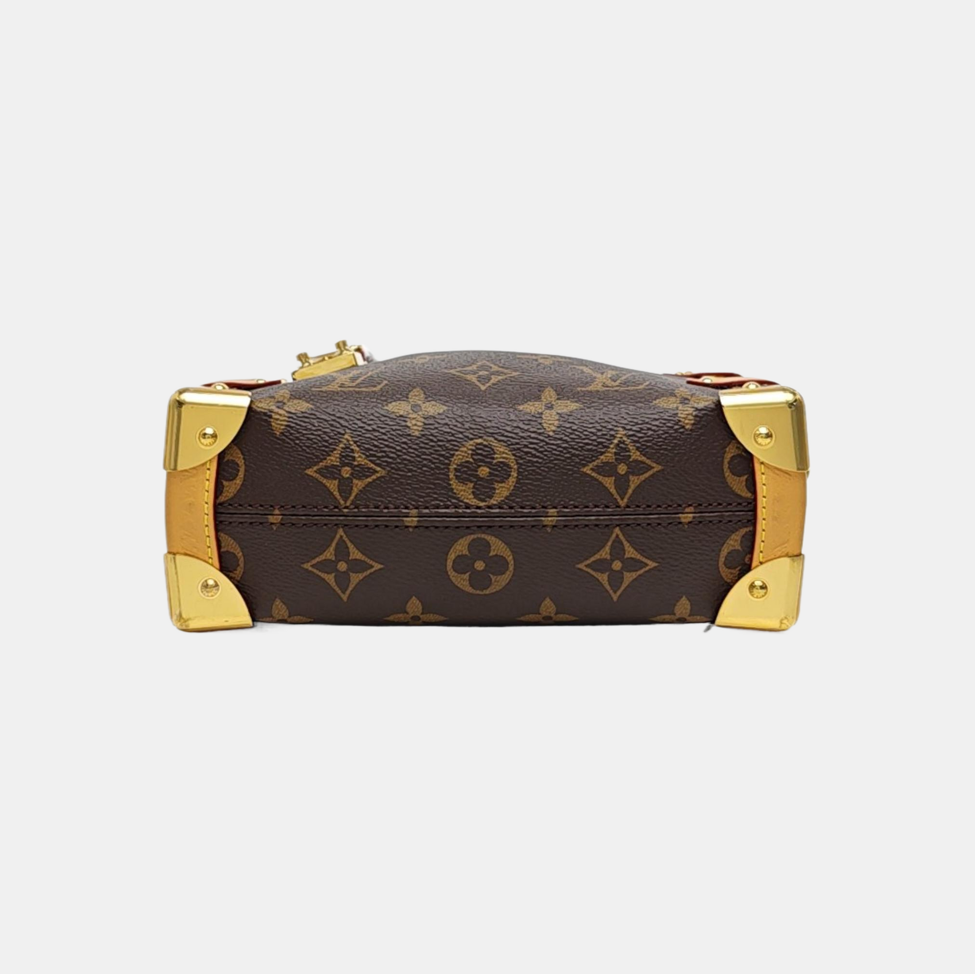 SIDE TRUNK PM Monogram Coated Canvas Brown