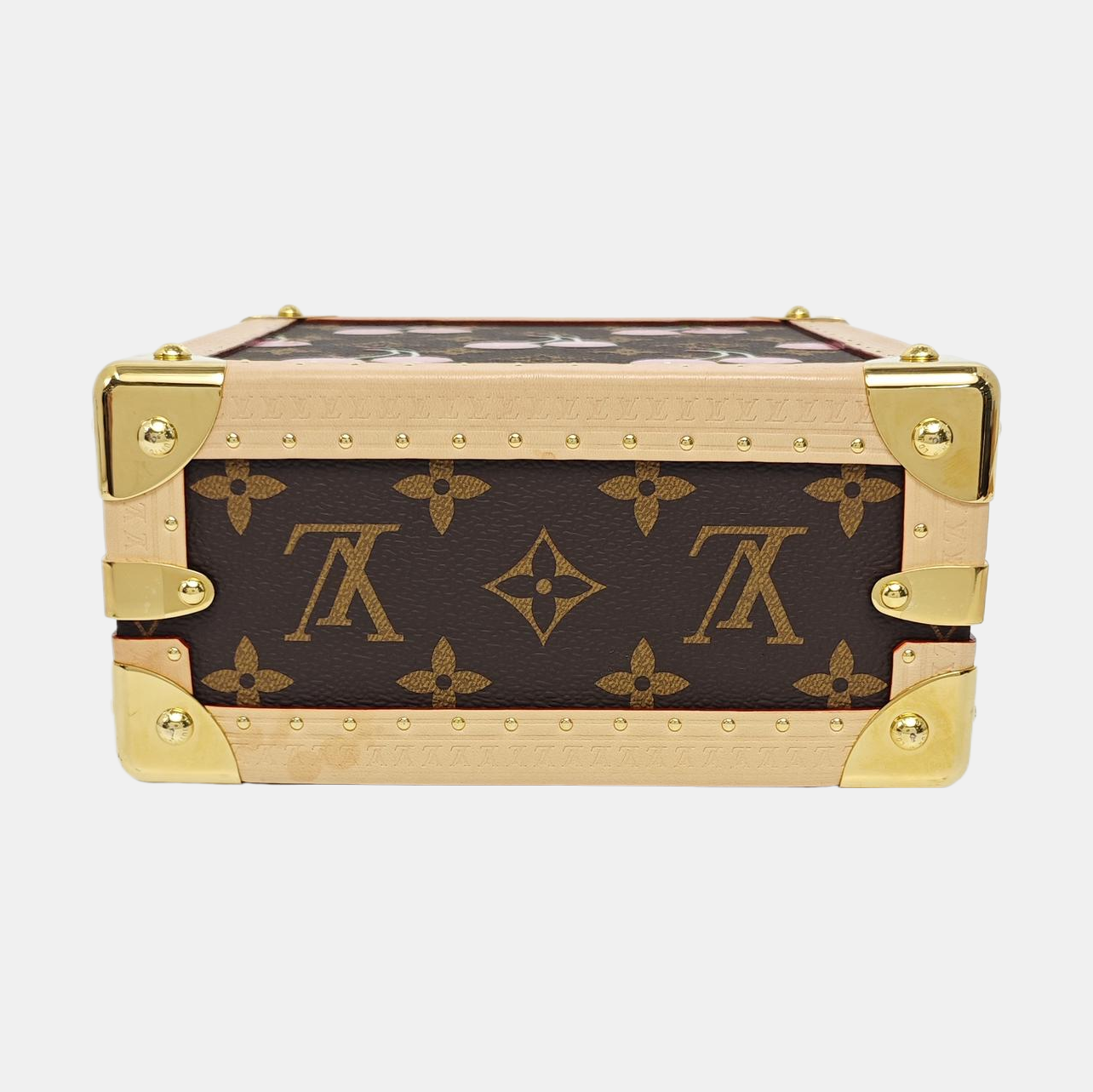 SIDE TRUNK Mini Monogram Coated Canvas Brown