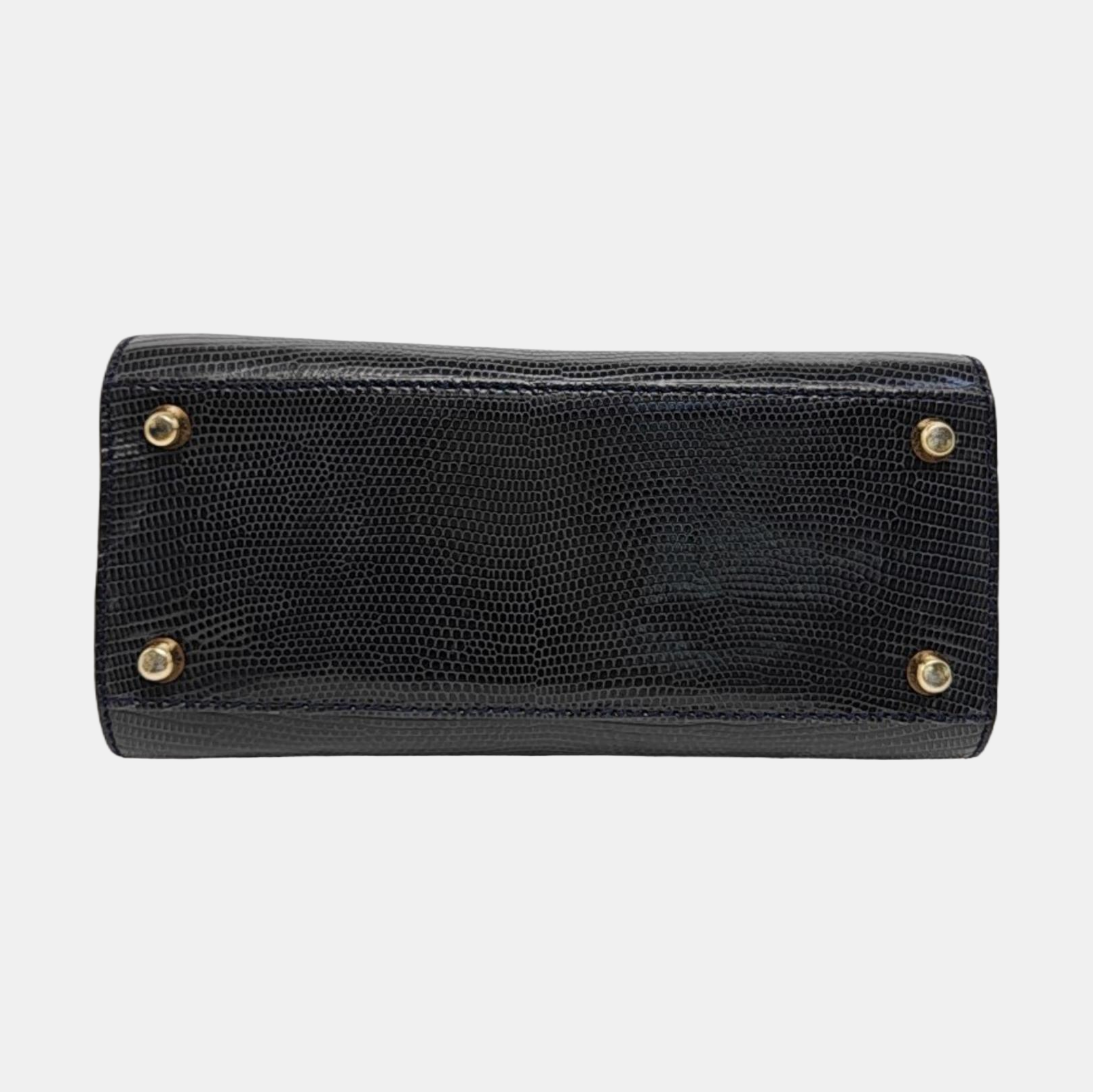 Lizard Black