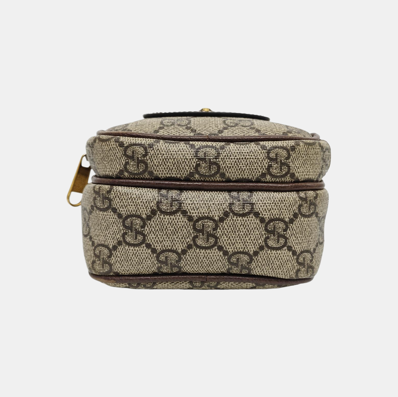 Neo Vintage Mini Monogram Coated Canvas Brown