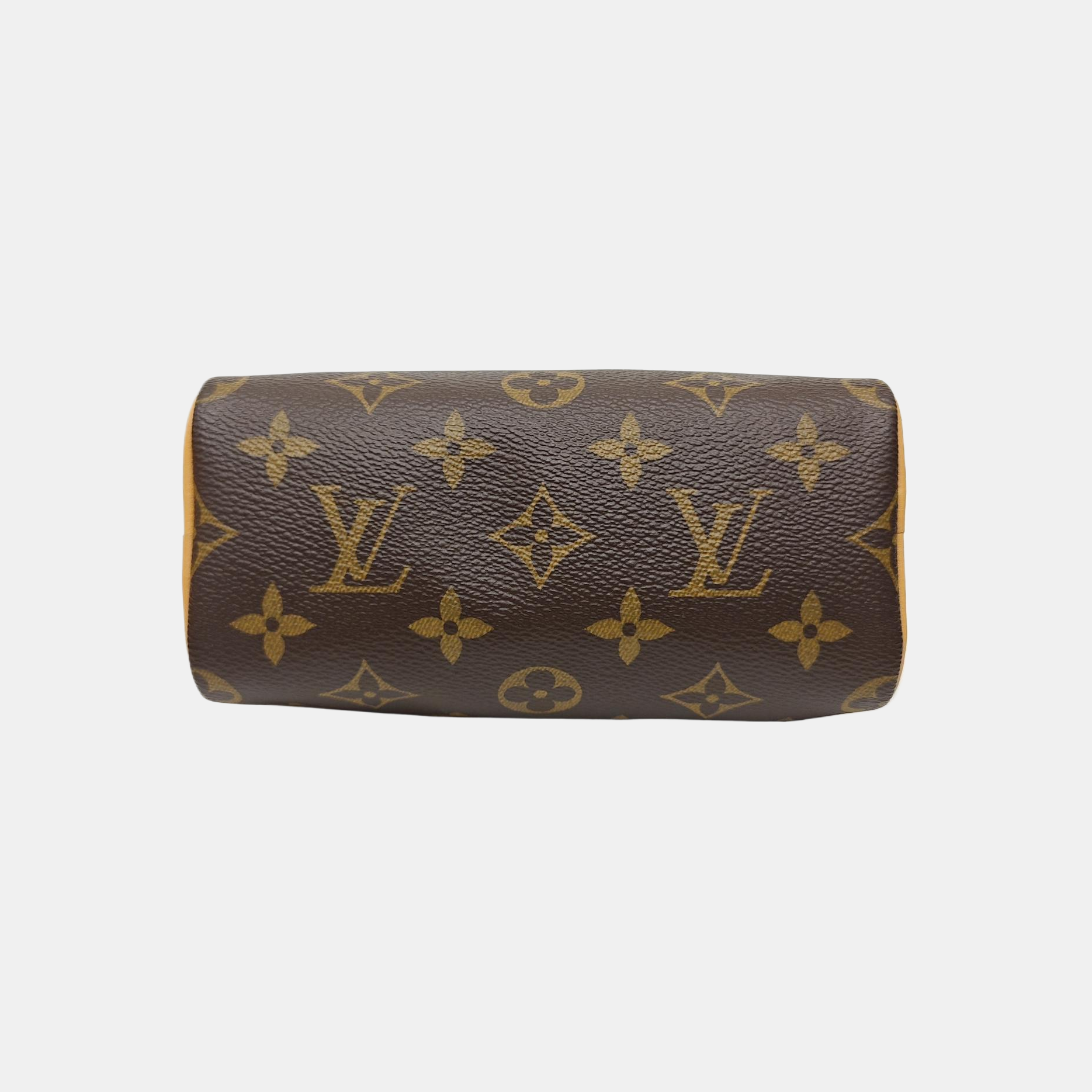 SPEEDY Nano Monogram Coated Canvas Brown