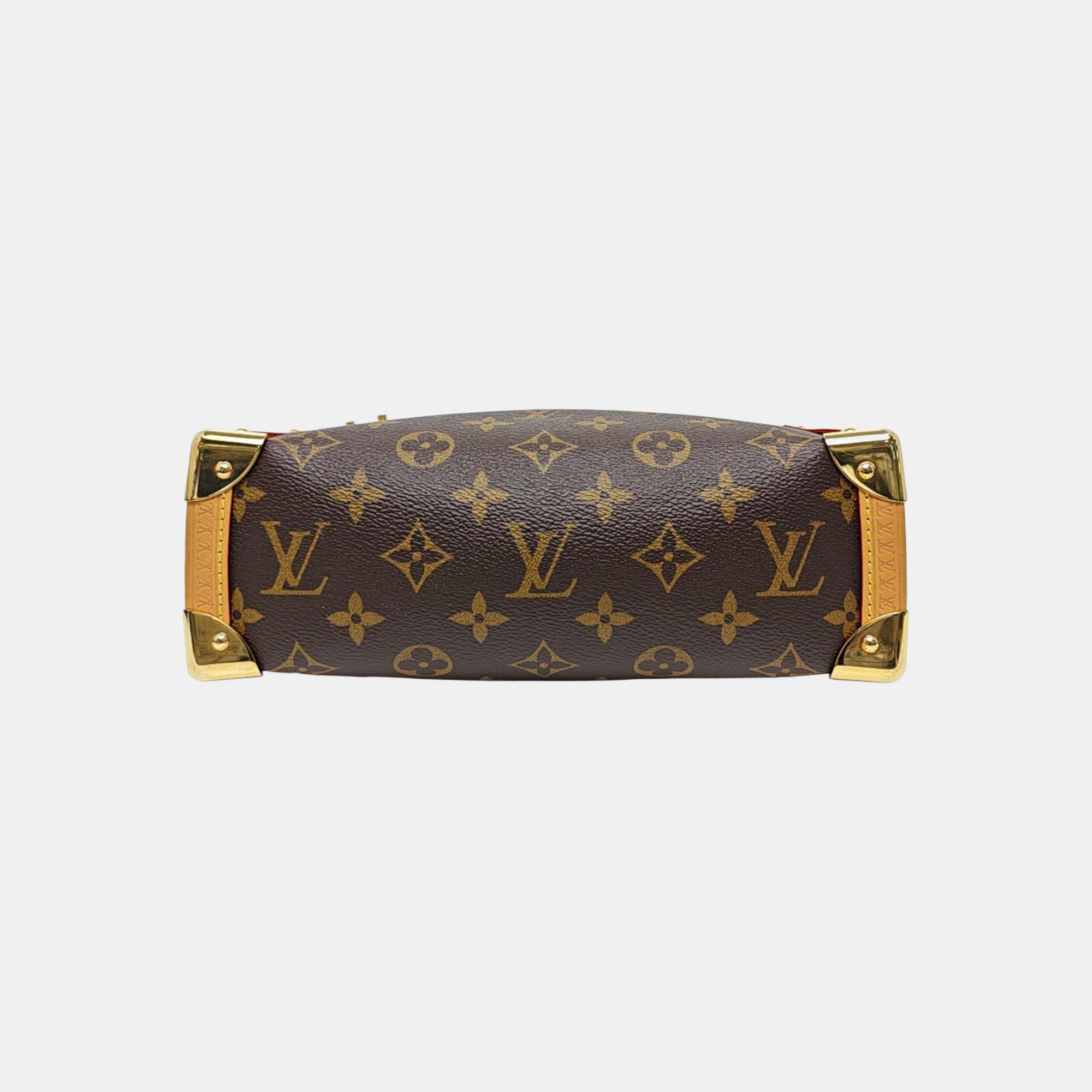SIDE TRUNK MM Monogram Coated Canvas Brown
