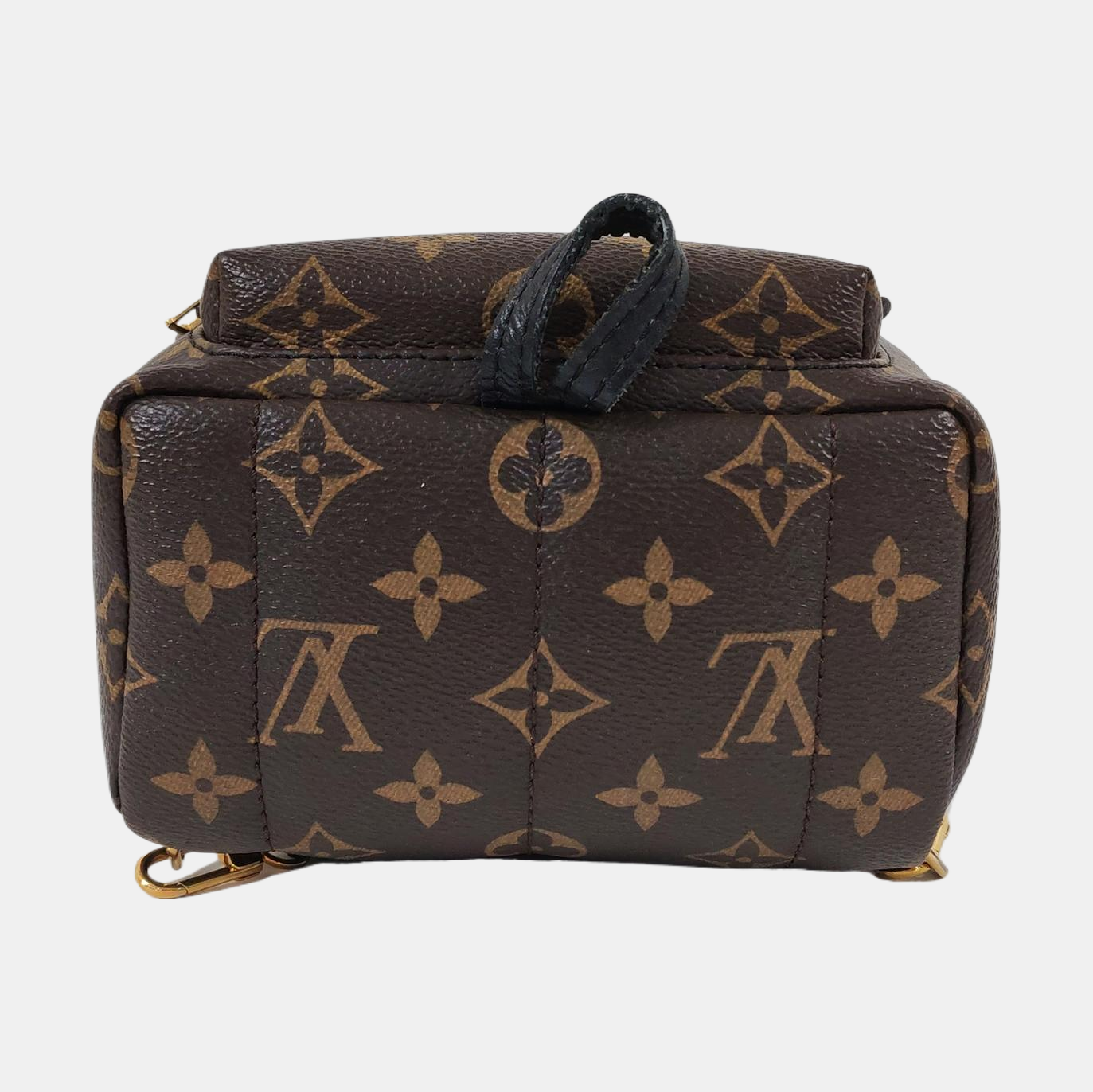 PALM SPRINGS Mini Monogram Coated Canvas Brown