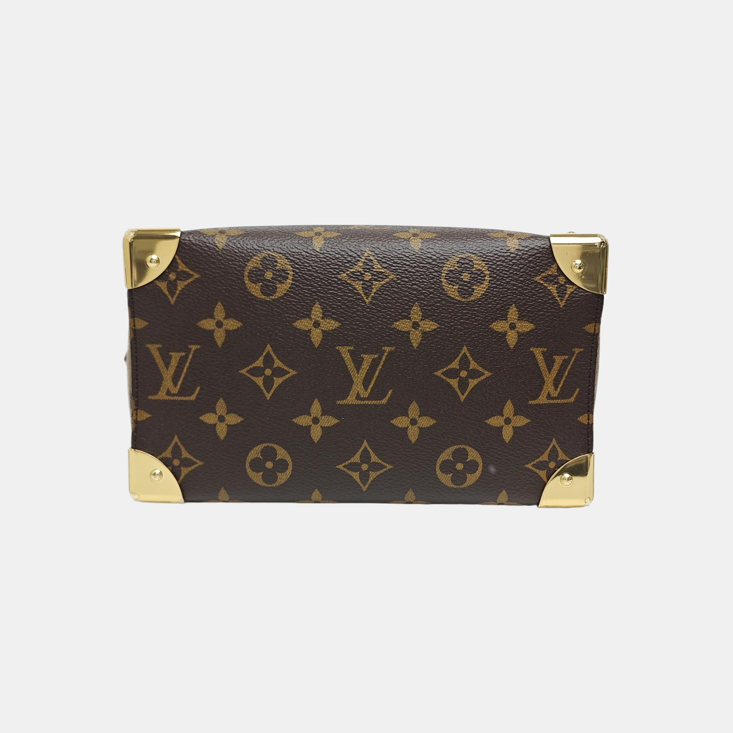 SPEEDY TRUNK 20 Monogram Coated Canvas Brown