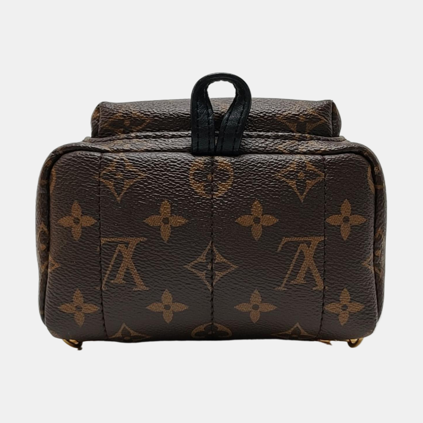 PALM SPRINGS Mini Monogram Coated Canvas Brown