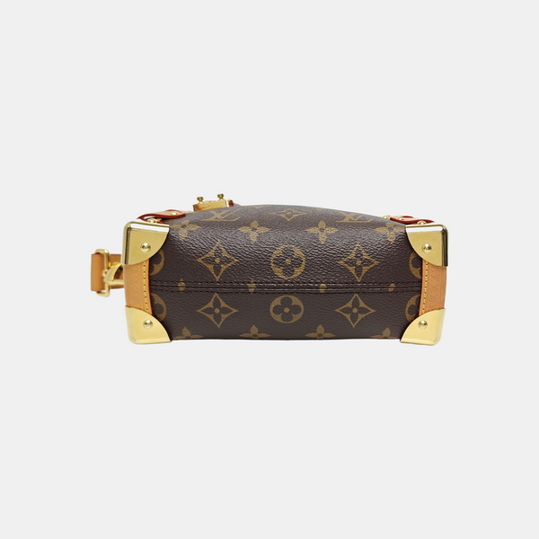 SIDE TRUNK PM Monogram Coated Canvas Brown