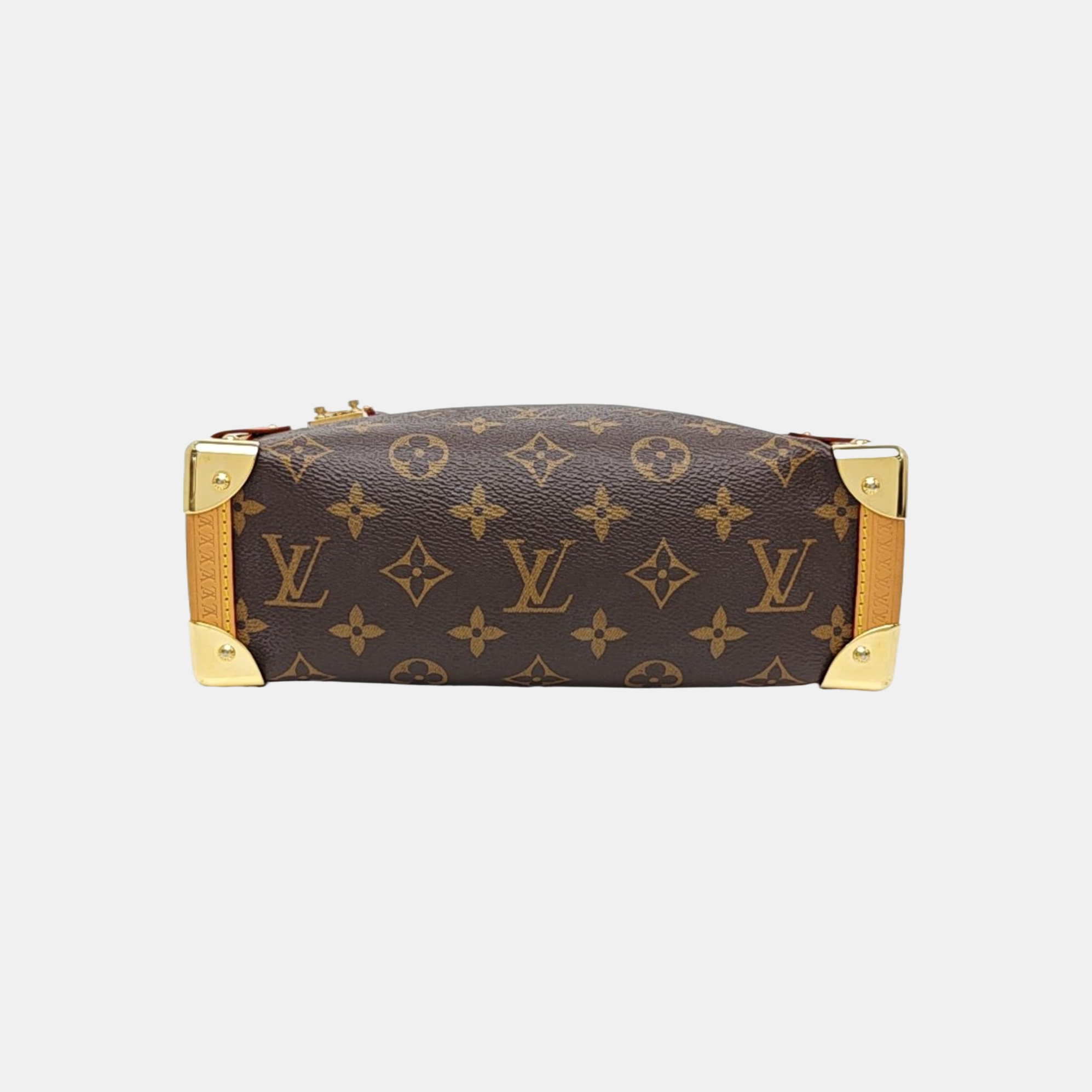 SIDE TRUNK MM Monogram Coated Canvas Brown