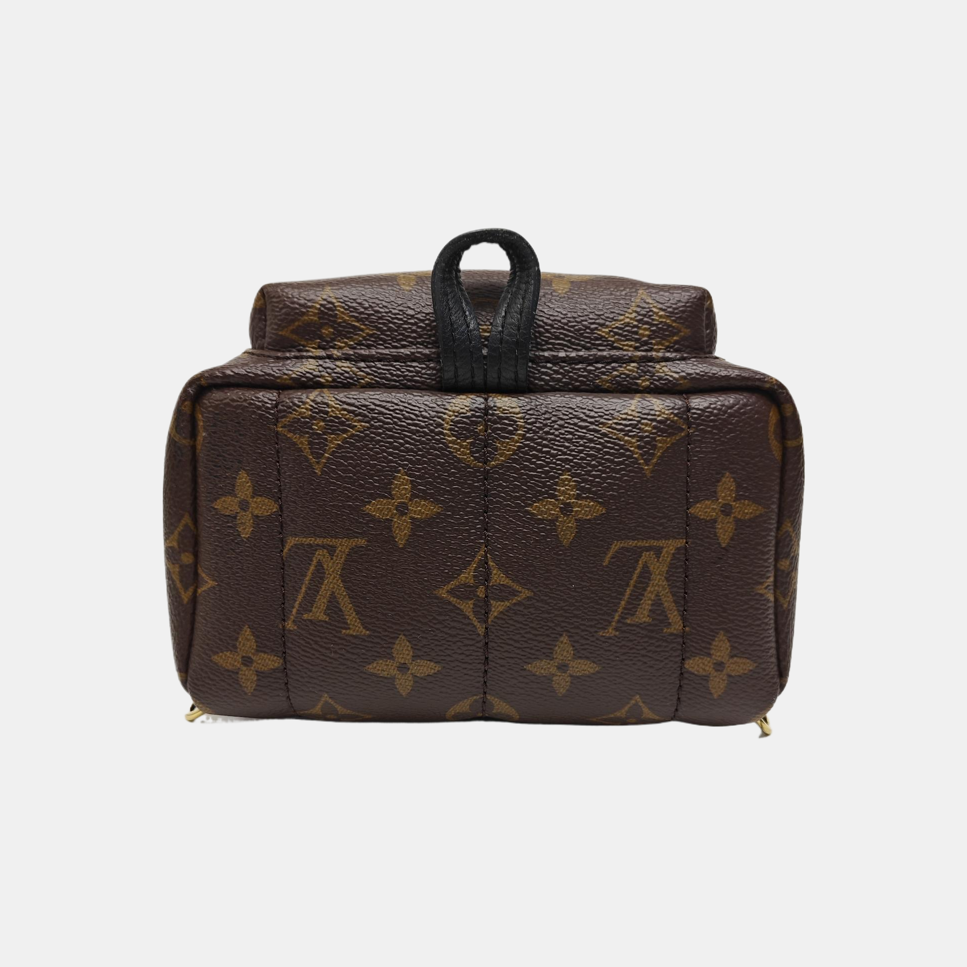 PALM SPRINGS Mini Monogram Coated Canvas Brown