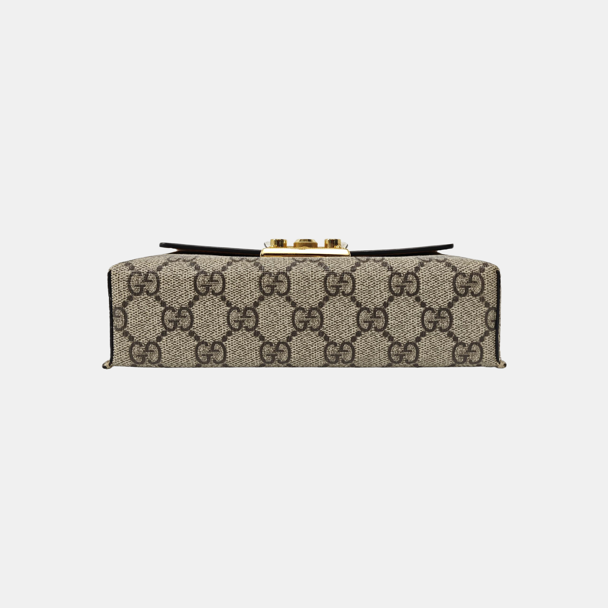 Padlock Mini Monogram Coated Canvas Multicolor