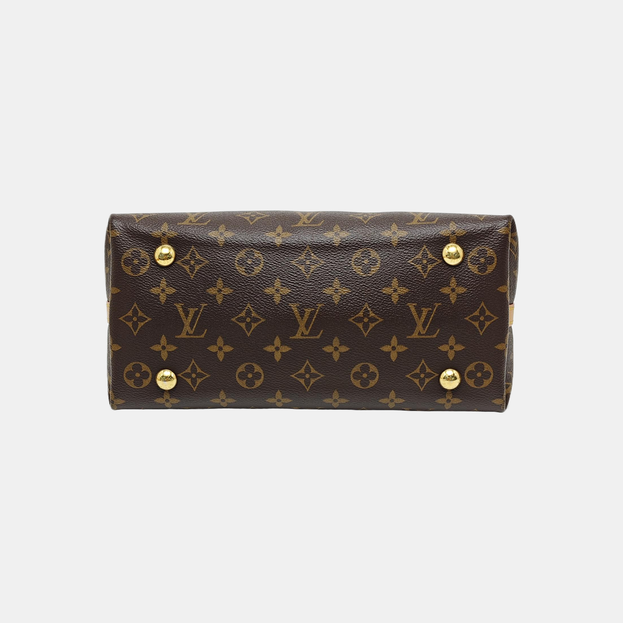 CARRYALL PM Monogram Coated Canvas Brown