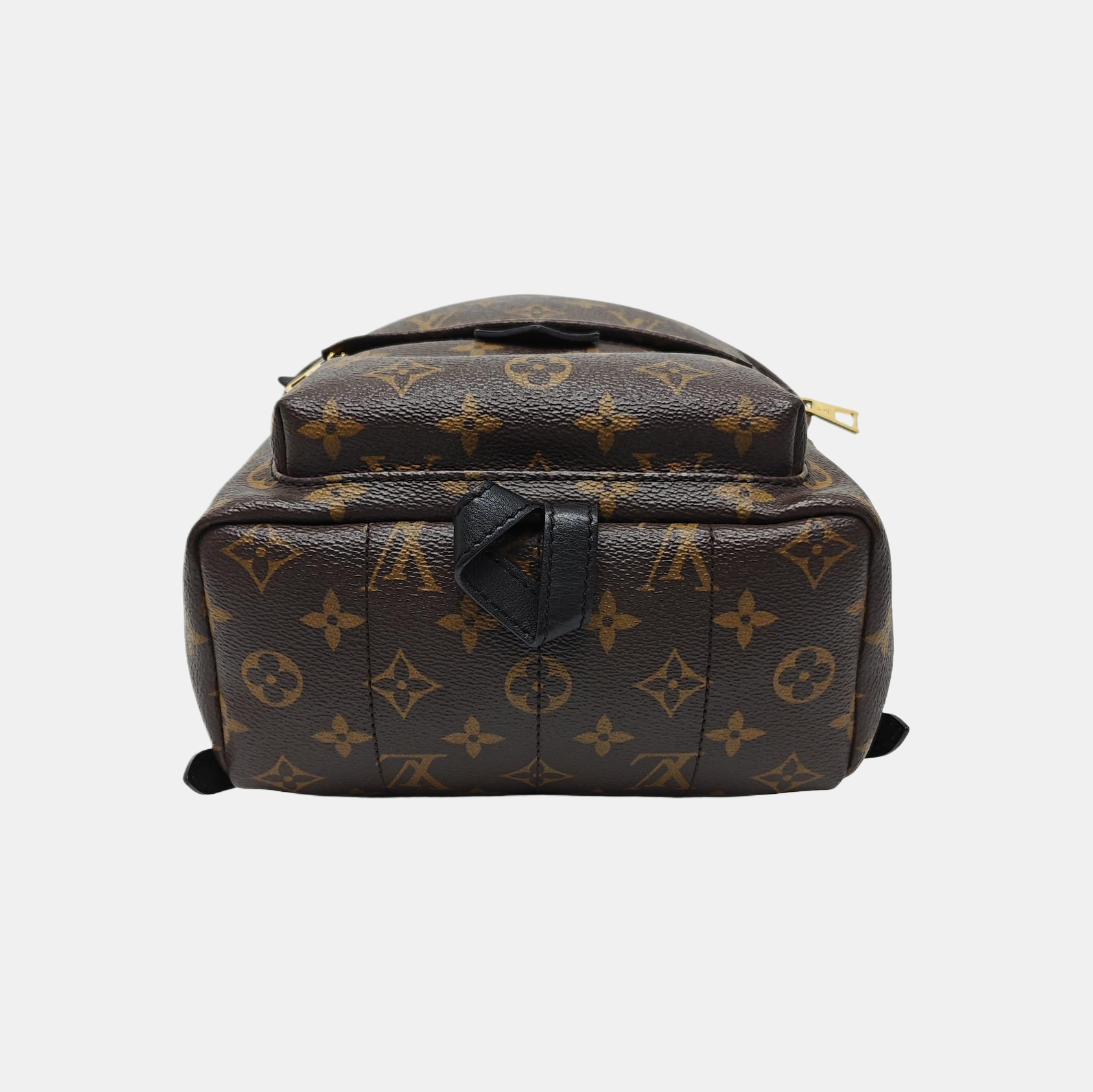PALM SPRINGS PM Monogram Coated Canvas Brown