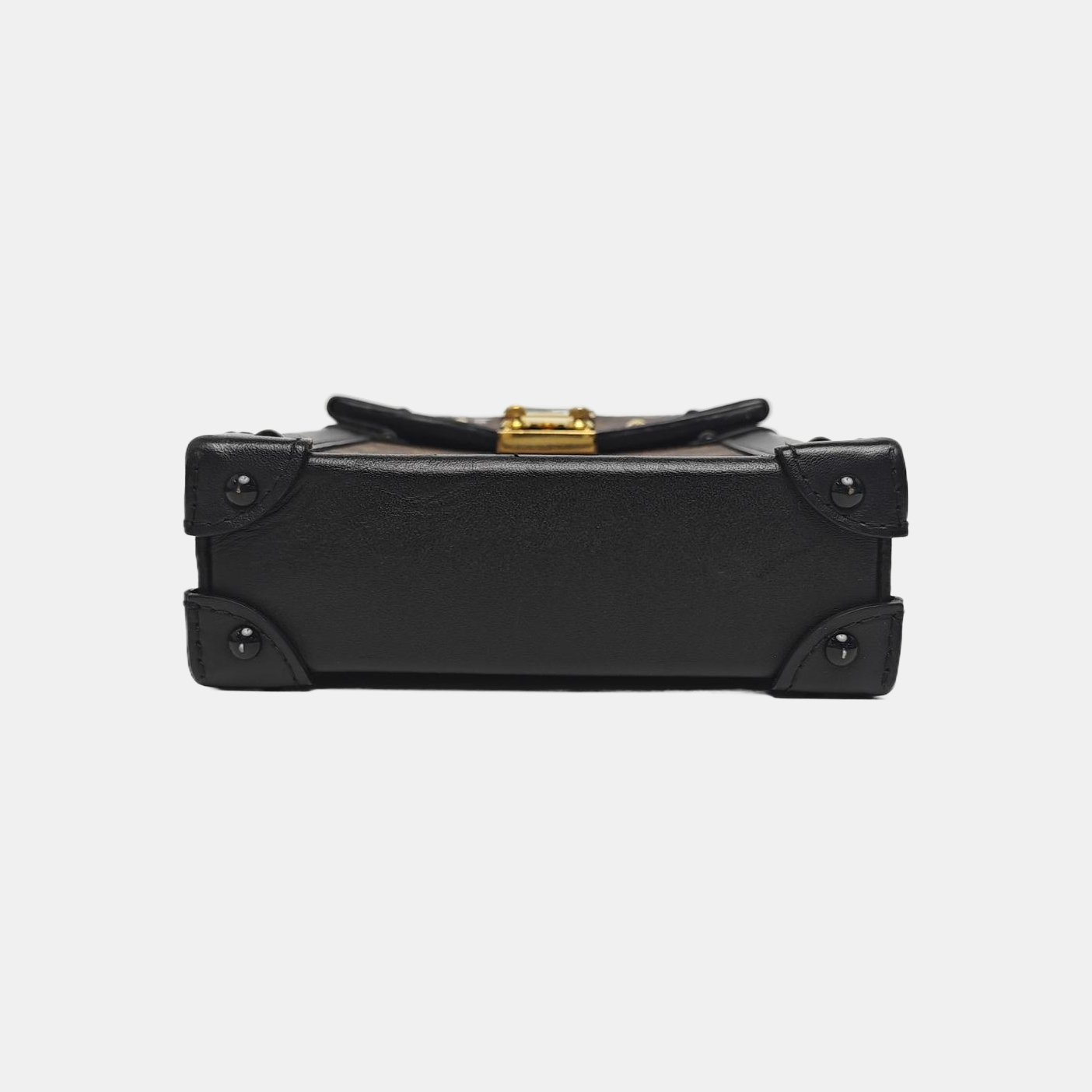 TRUNK Monogram Coated Canvas Brown